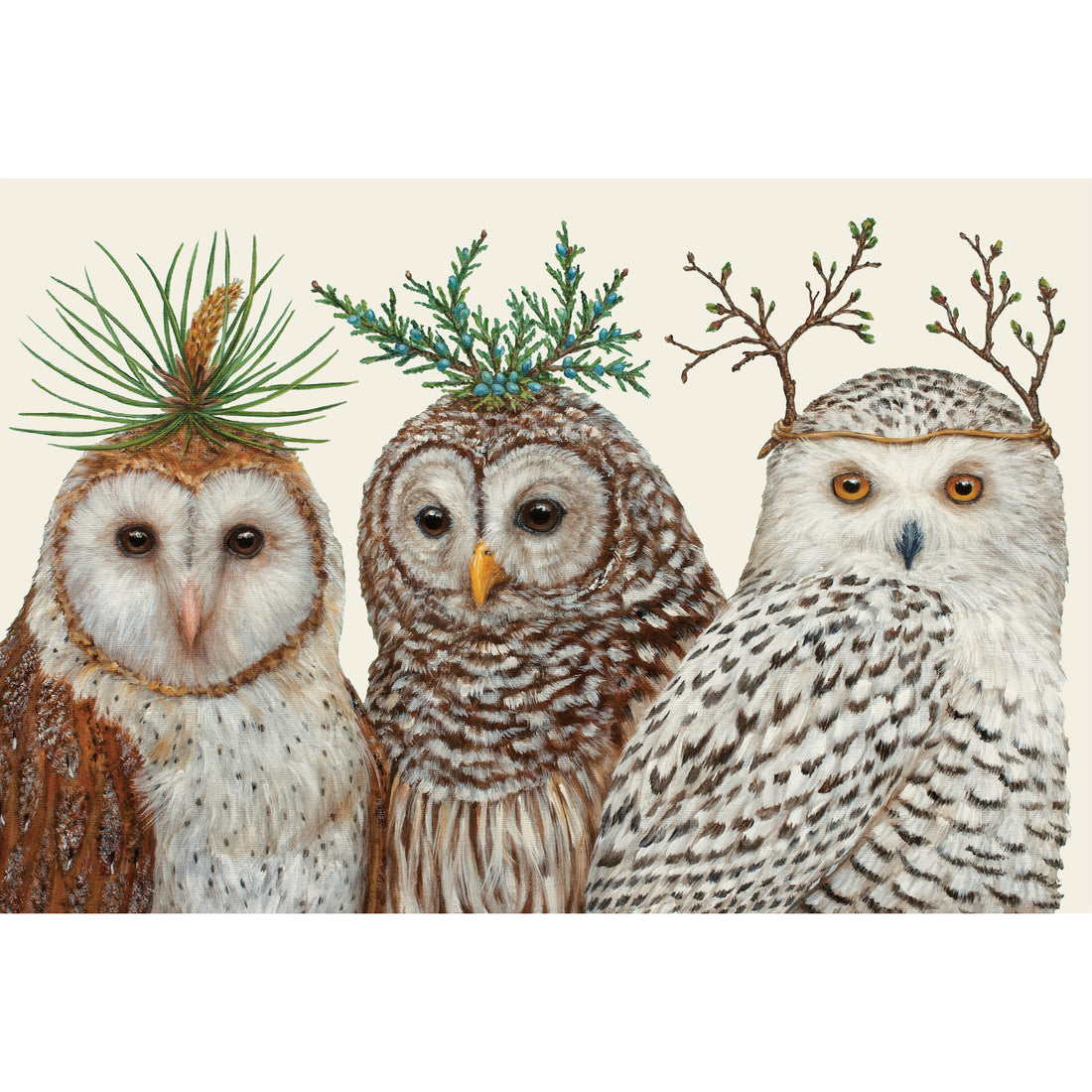 A realistic illustration of three different species of owls, each with their heads adorned with winter foliage, on a cream background.
