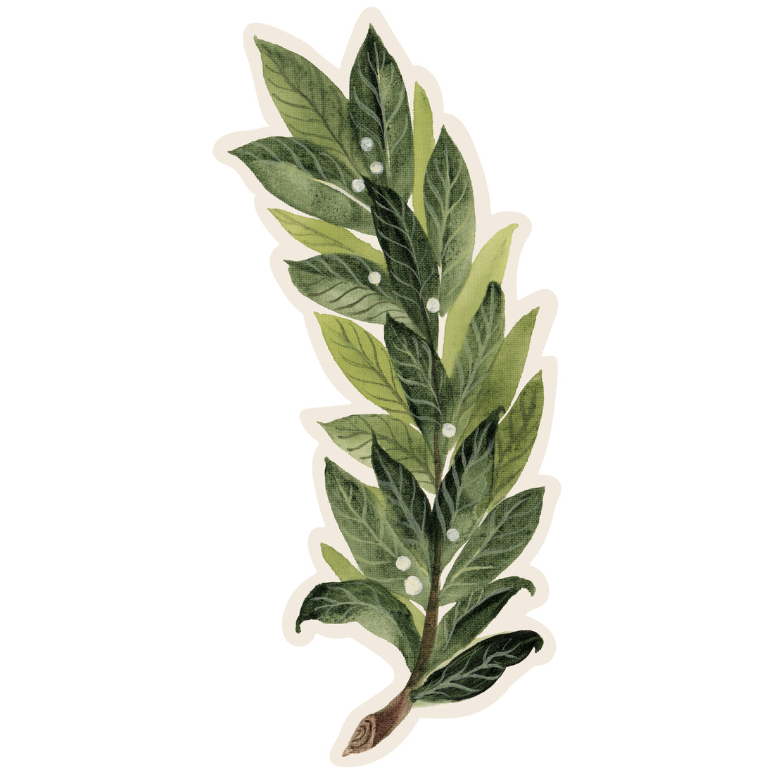 A die-cut watercolor illustration of a laurel sprig with small white berries. 