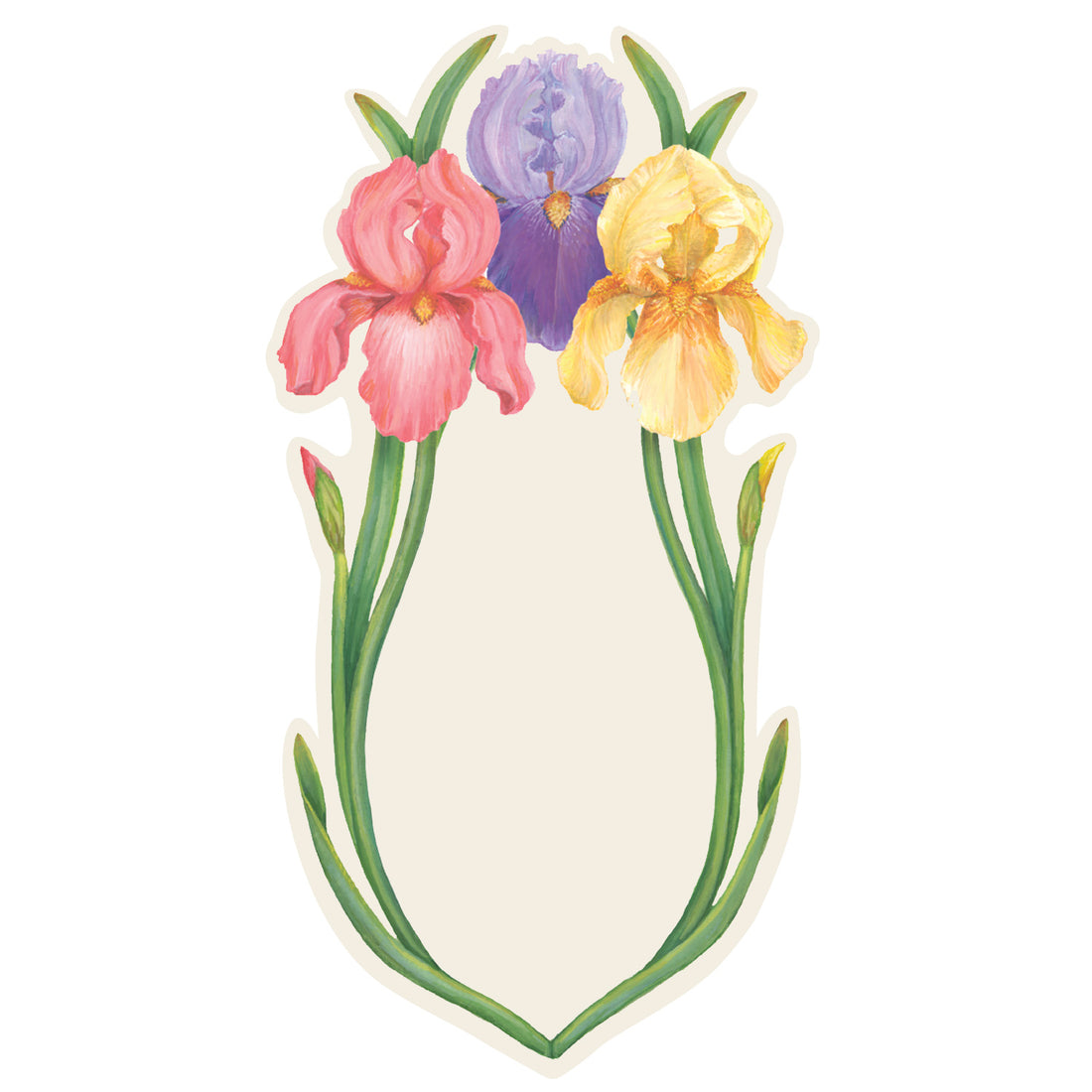 A die-cut card featuring three vibrant iris blooms, one pink, one purple and one yellow adorning the top edge, with slender green stems framing the sides and meeting at the bottom, creating an open white space in the middle for personalization.