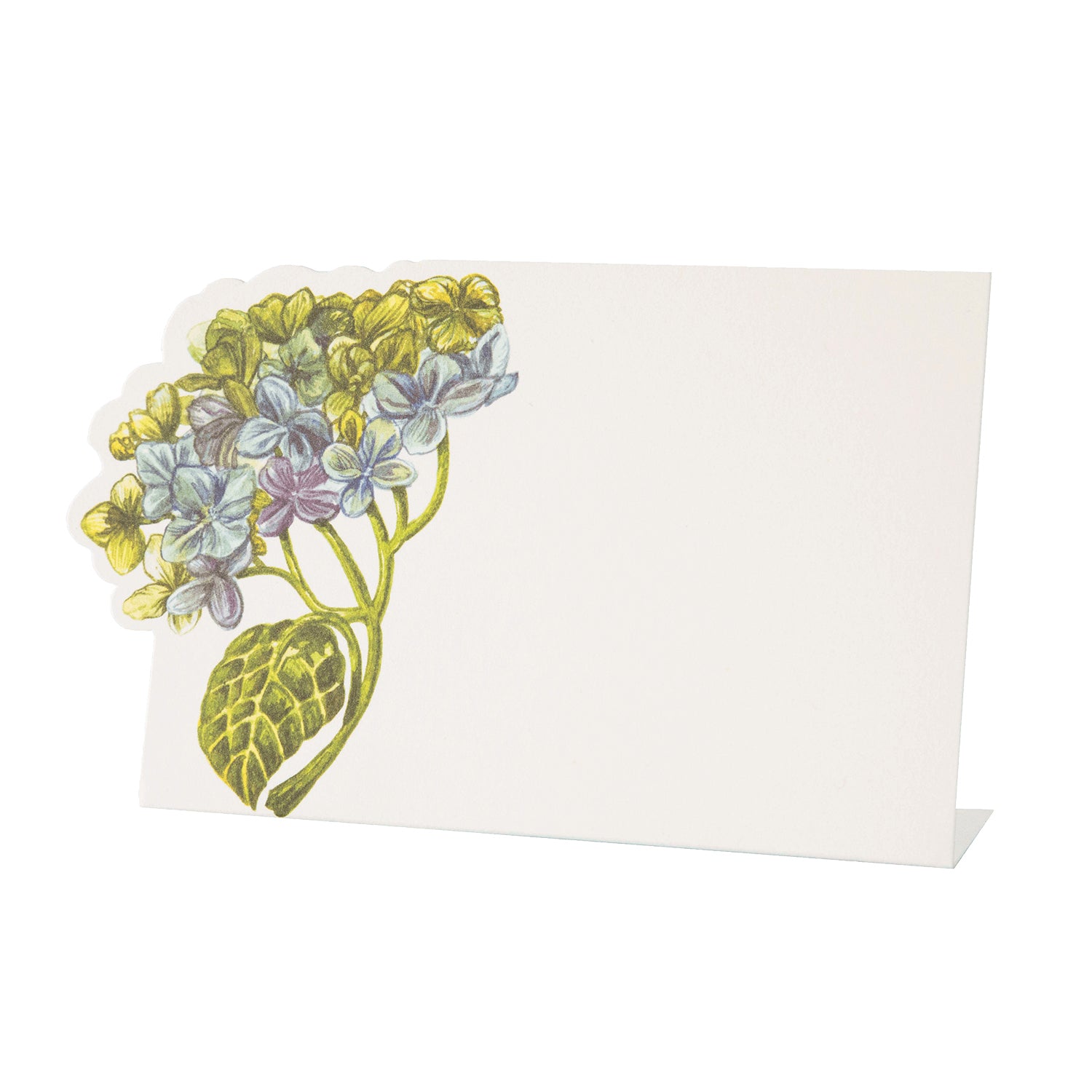 Hester & Cook Hydrangea place cards are an elegant addition to any event. These unique place cards feature multicolored blooms, adding a touch of natural beauty to your table setting.