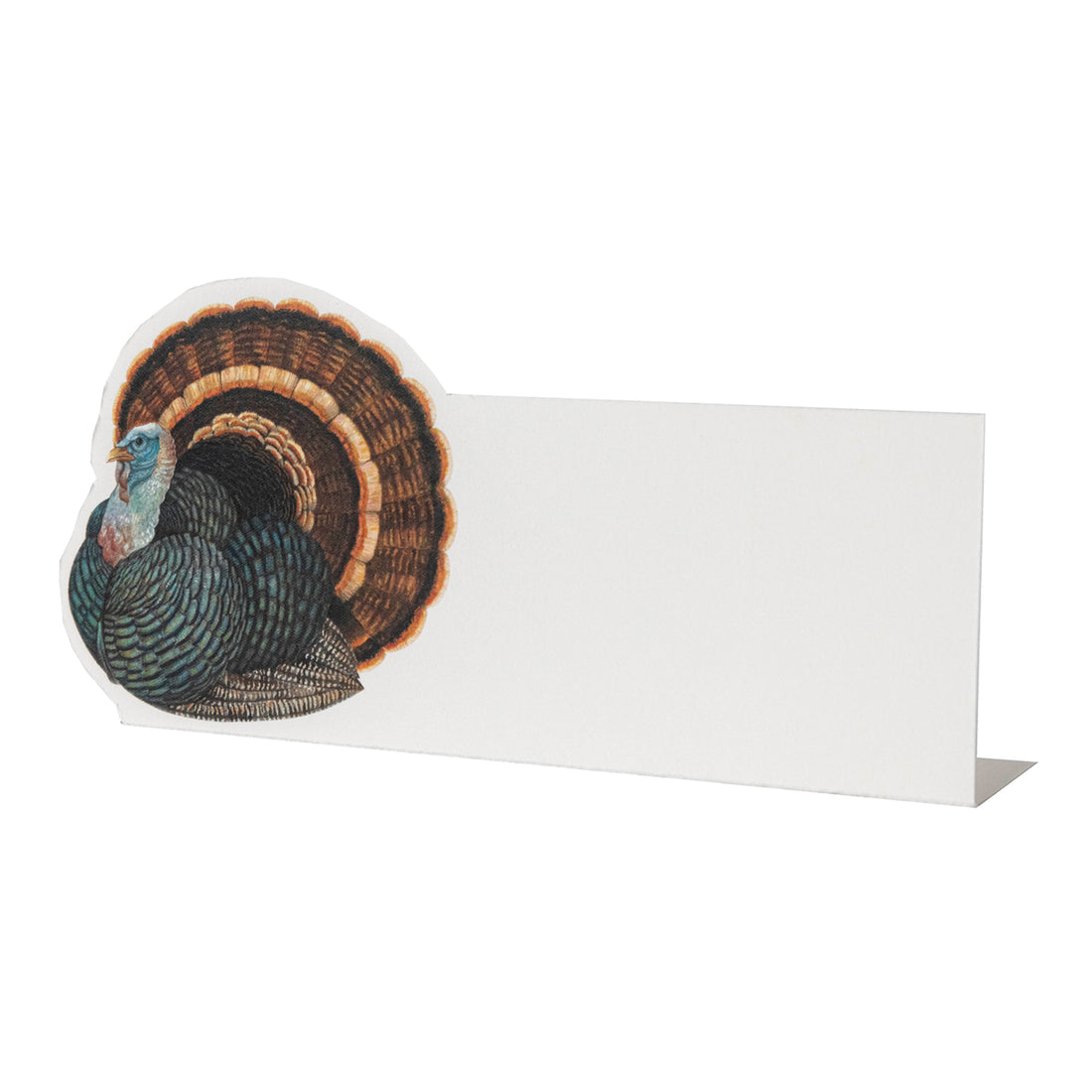 A white, rectangle freestanding place card featuring a plump turkey adorning the left side.
