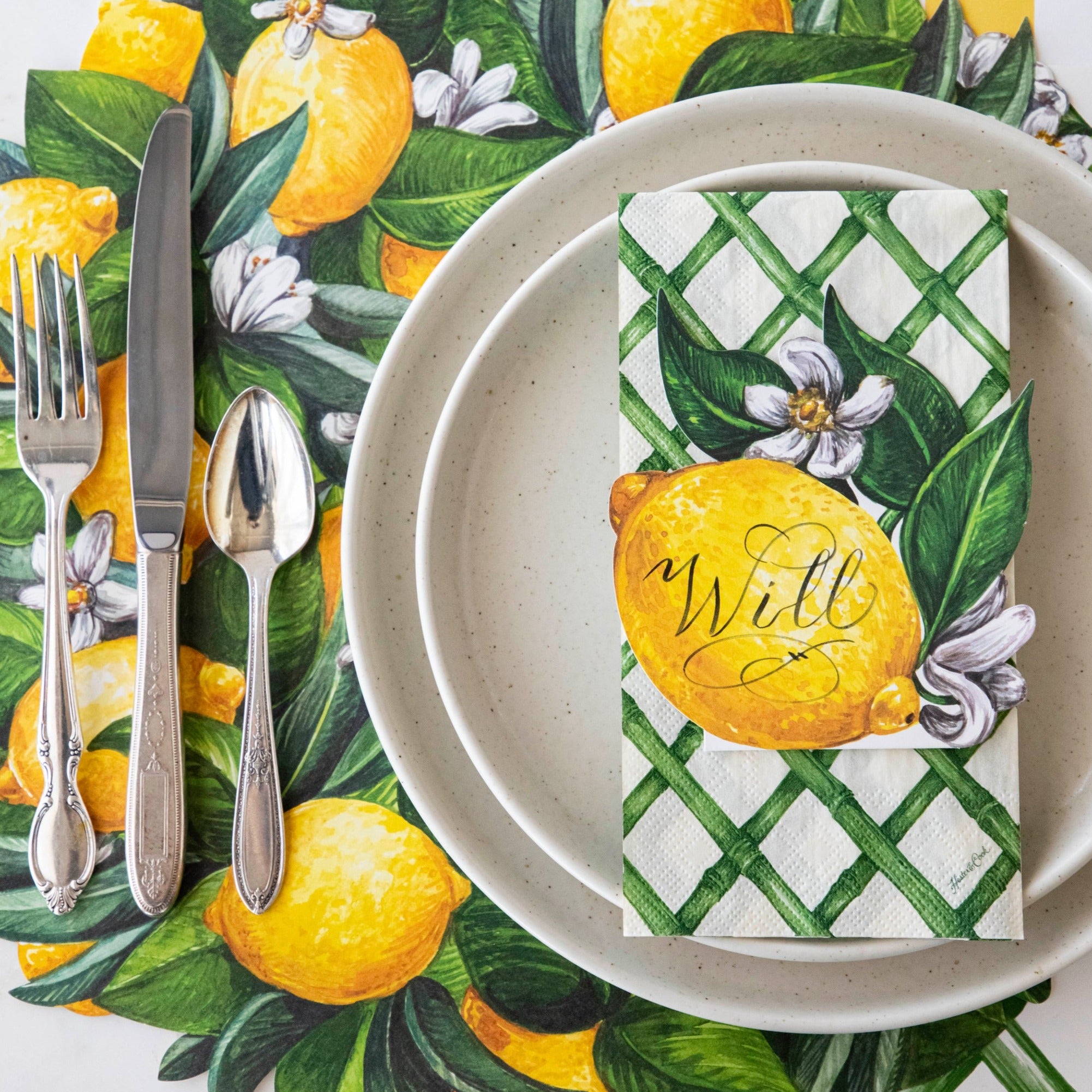 Pacifica Salt Dinnerware