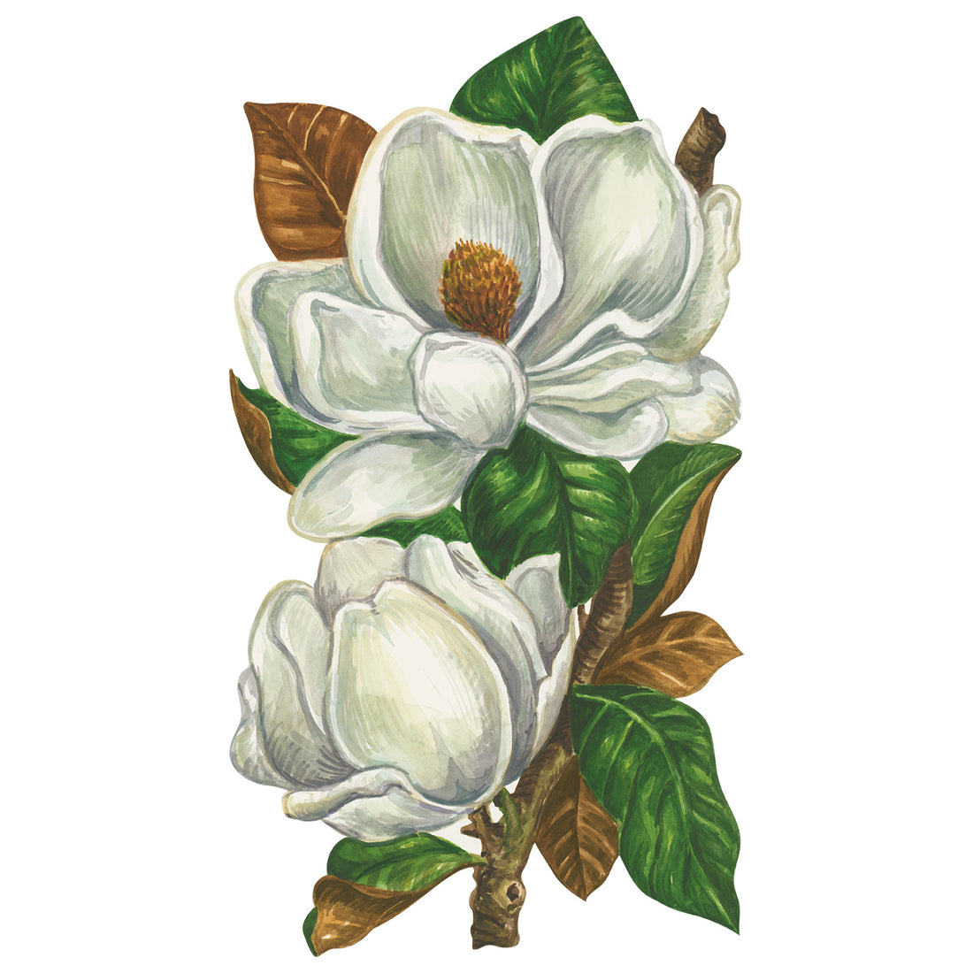 A die-cut illustration of two large white magnolia blossoms with deep green and brown leaves on a stem.