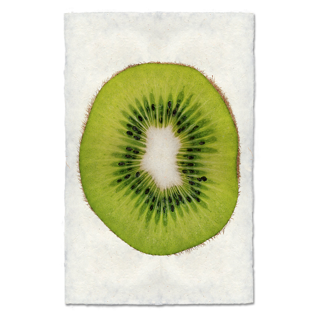 Kiwi Art Print