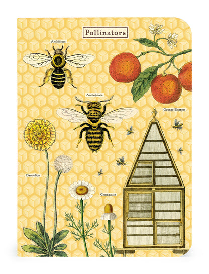 Bees &amp; Honey mini notebook set with lined pages by Cavallini Papers &amp; Co.
