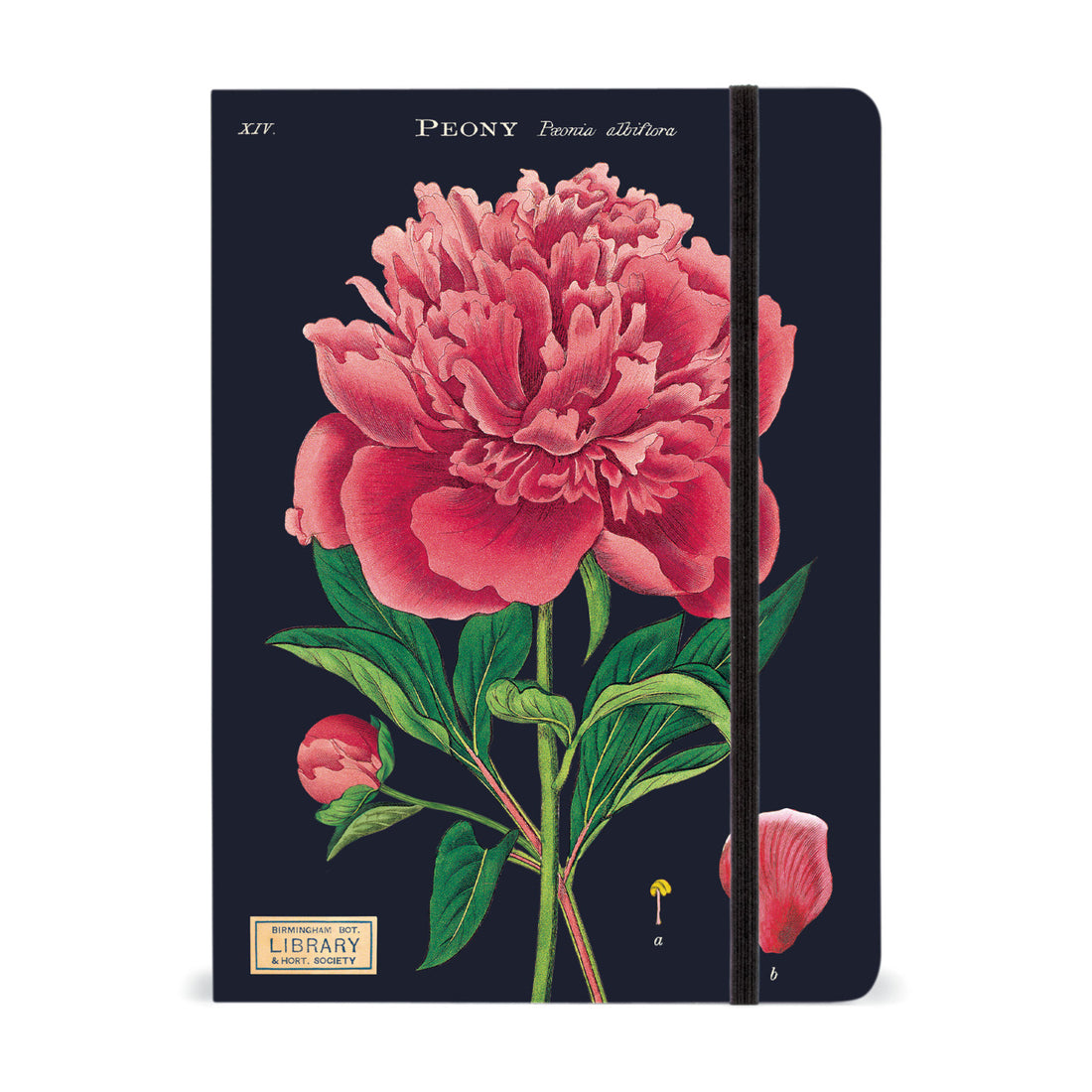 A Cavallini Papers &amp; Co Large Botany Notebook with a floral design featuring a peony on its cover, filled with lined paper for easy writing.