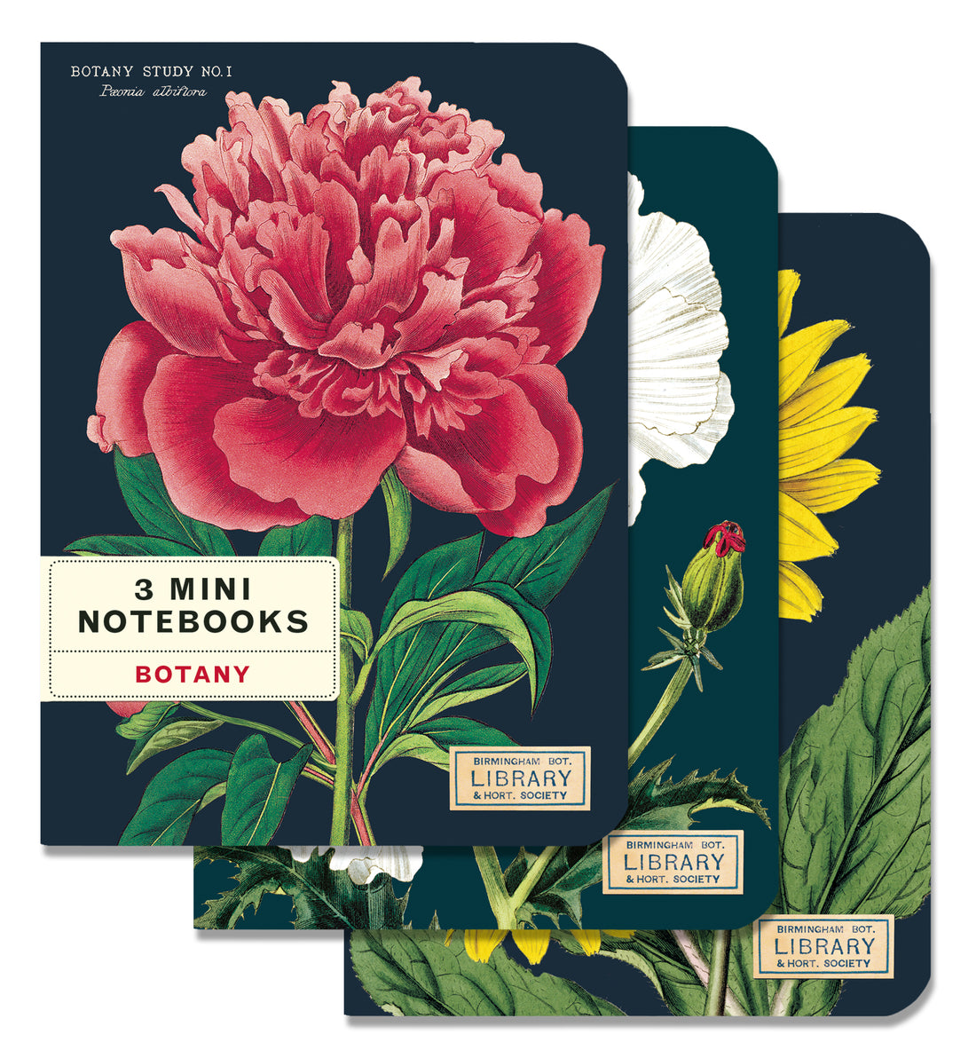 Three Botany 3 Mini Notebooks with vintage artwork of flowers on them by Cavallini Papers &amp; Co.