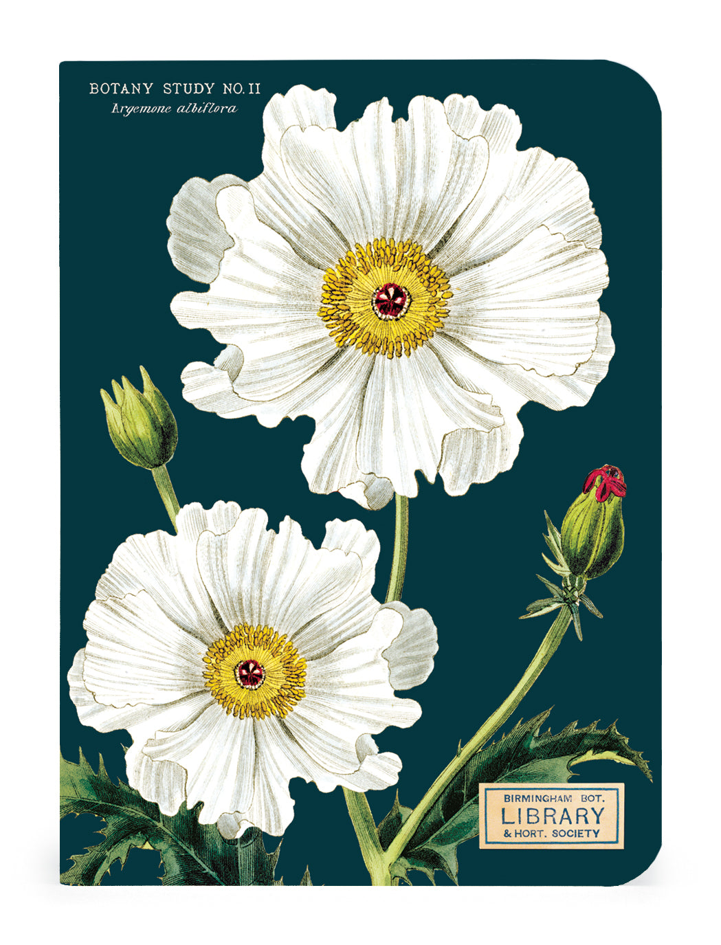 Three Botany 3 Mini Notebooks with vintage artwork of flowers on them by Cavallini Papers & Co.