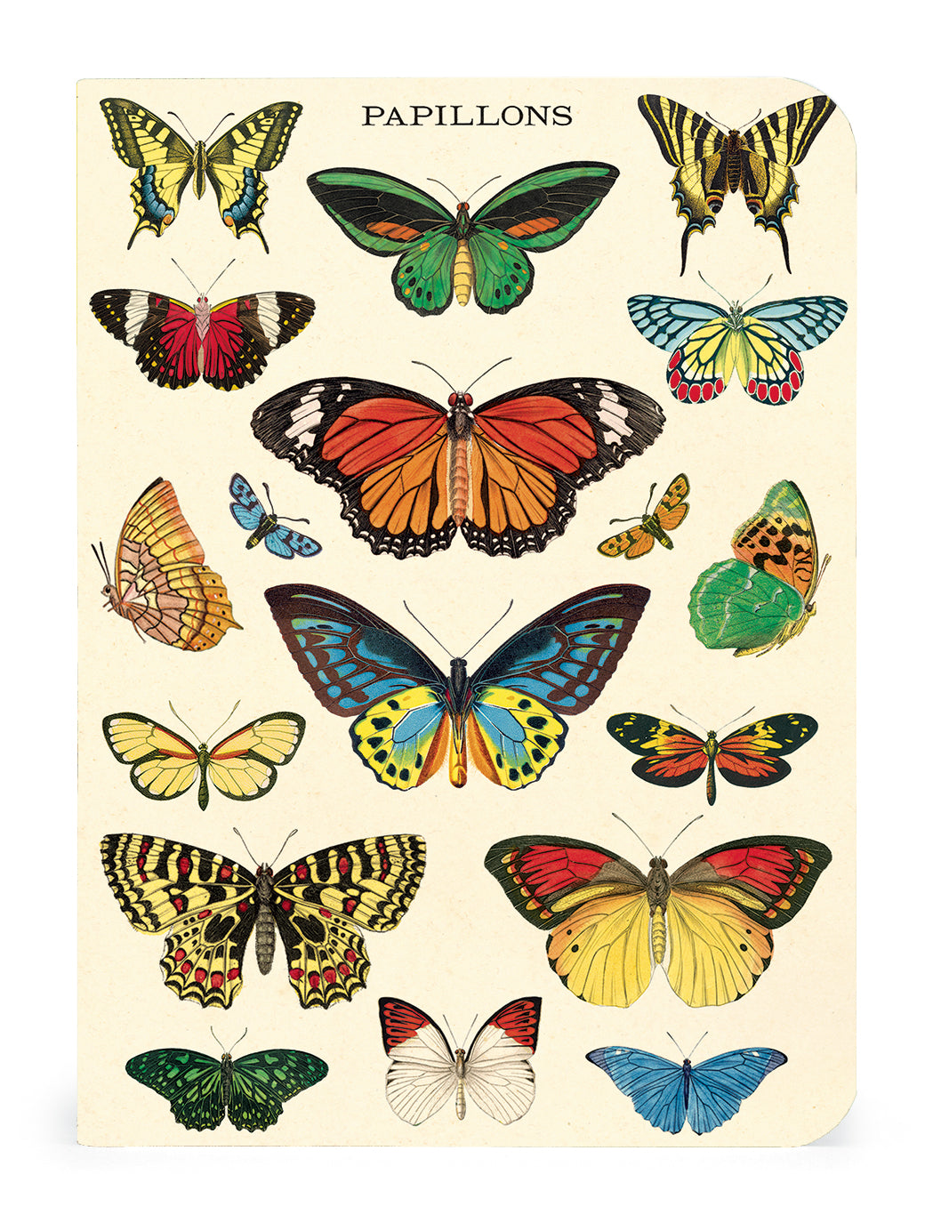 A Butterflies 3 Mini Notebooks set featuring vintage artwork of butterflies by Cavallini Papers & Co.