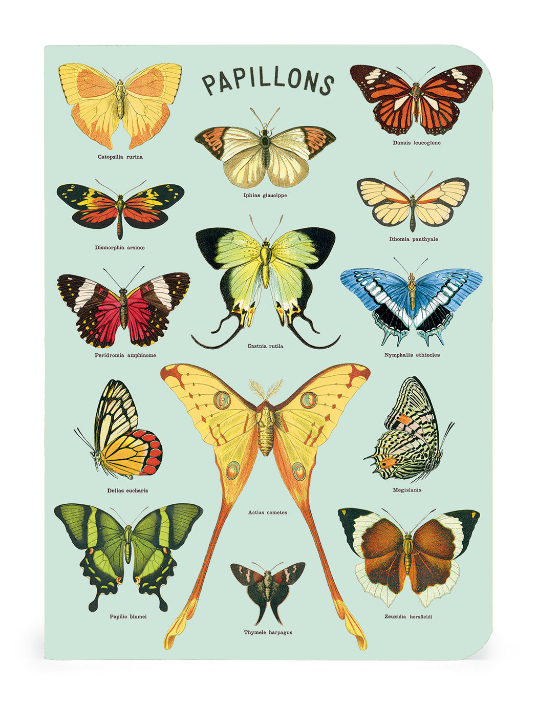 Papillons - a collection of Butterflies 3 Mini Notebooks on a blue background, featured in a Cavallini Papers & Co mini notebook set.