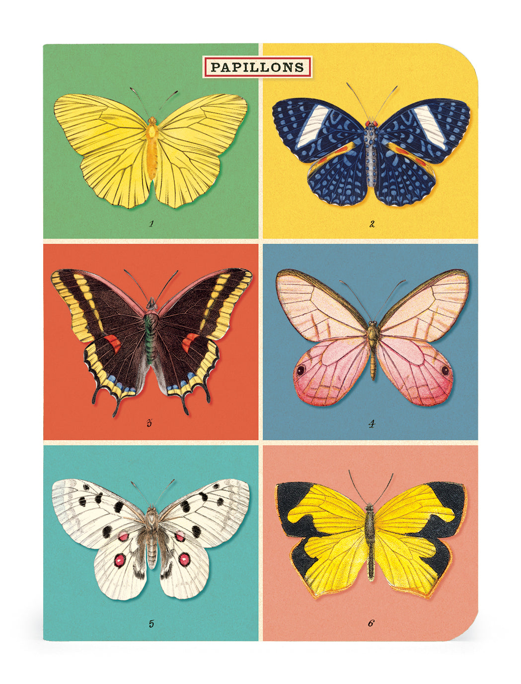 A set of Butterflies 3 Mini Notebooks adorned with different colored butterflies on them, made by Cavallini Papers & Co.