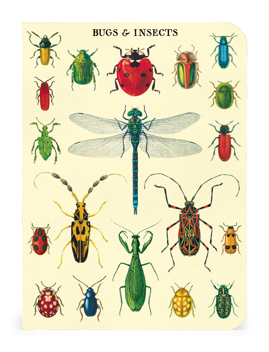 Vintage Bugs & Insects 3 Mini Notebooks featuring Cavallini Papers & Co vintage artwork.