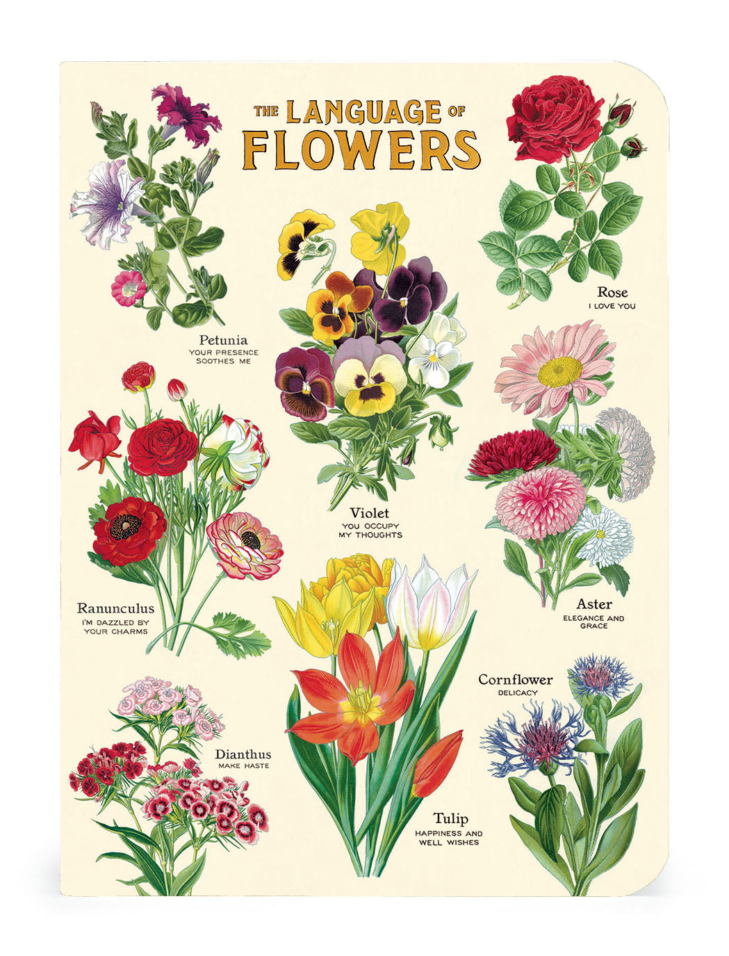 A Language of Flowers notebook featuring vintage images of various flowers.