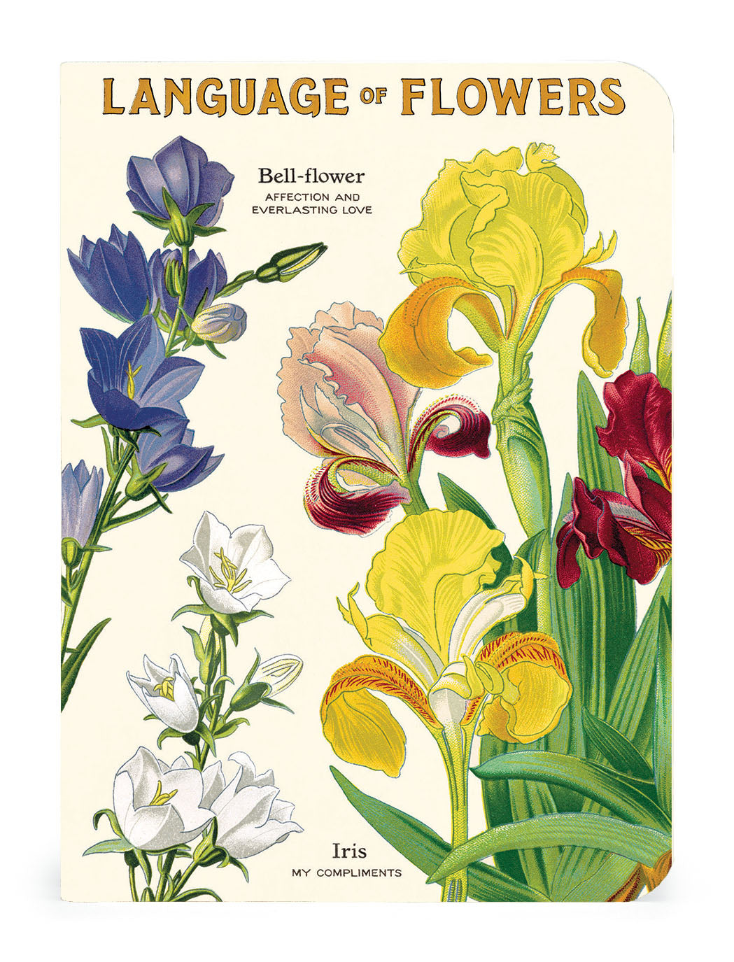 One Language of Flowers notebook featuring digital illustrations of the Bell-Flower and Iris.