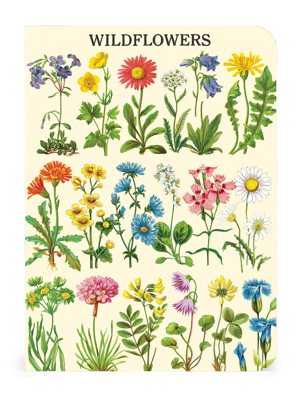 A Wildflowers Notebook featuring vintage illustrations of wildflowers from the Cavallini Archives.