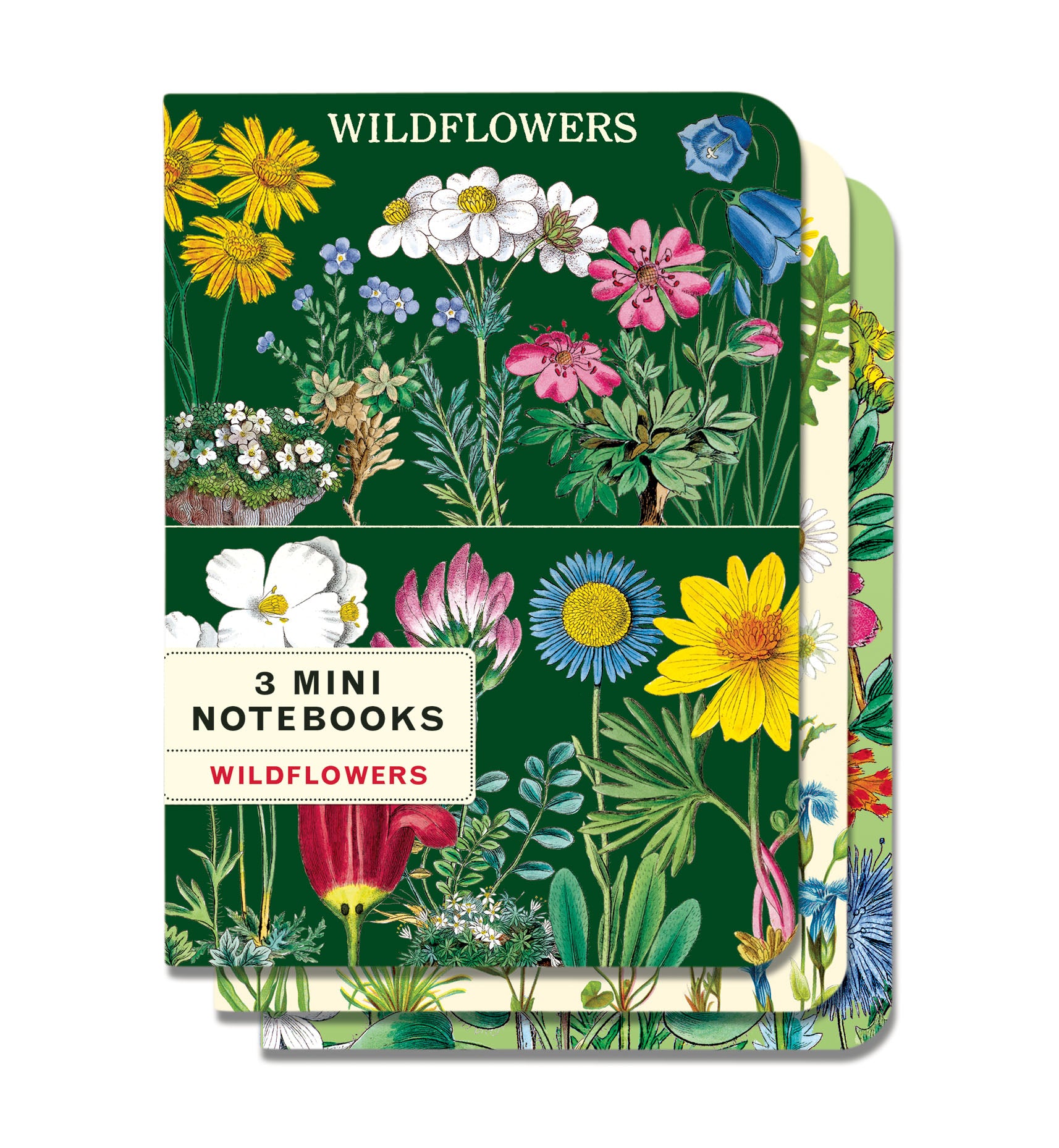 Wildflowers 2 Mini Notebooks Set of 3 featuring vintage images from the Cavallini Archives.