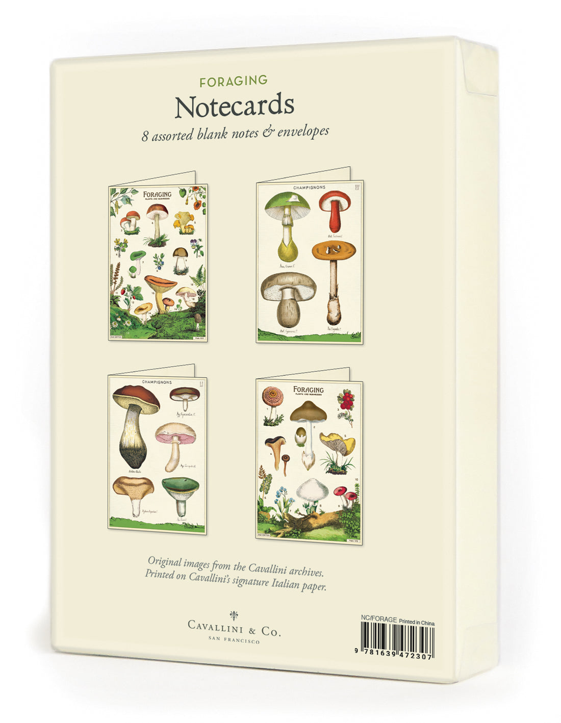 A Foraging Notecards Set of 8 showcasing various illustrated species on the Cavallini Papers &amp; Co cover.