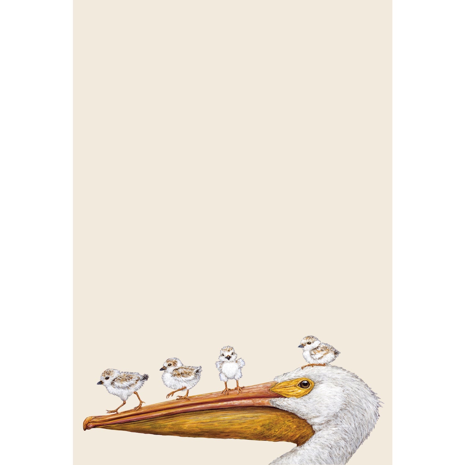 Three small birds perched on the beak of a pelican against a beige background on one of Hester & Cook&