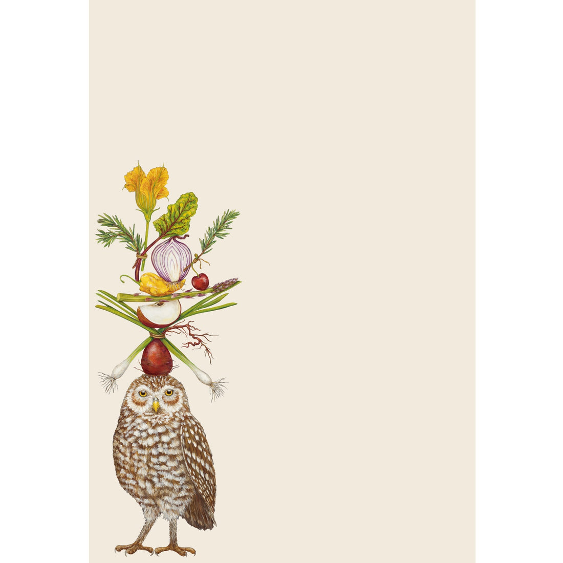 An illustration of an owl with a balanced stack of vegetables and flowers on its head adorns these Hester &amp; Cook Vegetarian Owl Note Pads.