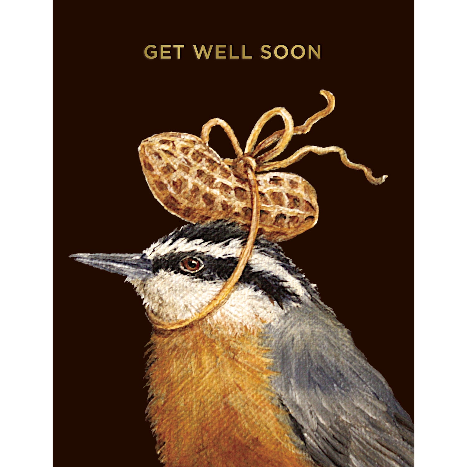 This Hester & Cook card with an original artwork by Vicki Sawyer features the left profile of a bird with golden chest plummage, a grey wing, and a black and white striped head wearing a hat of a peanut shell tied with twine on a rich brown background. The words "GET WELL SOON" are printed in shiny gold foil across the top.