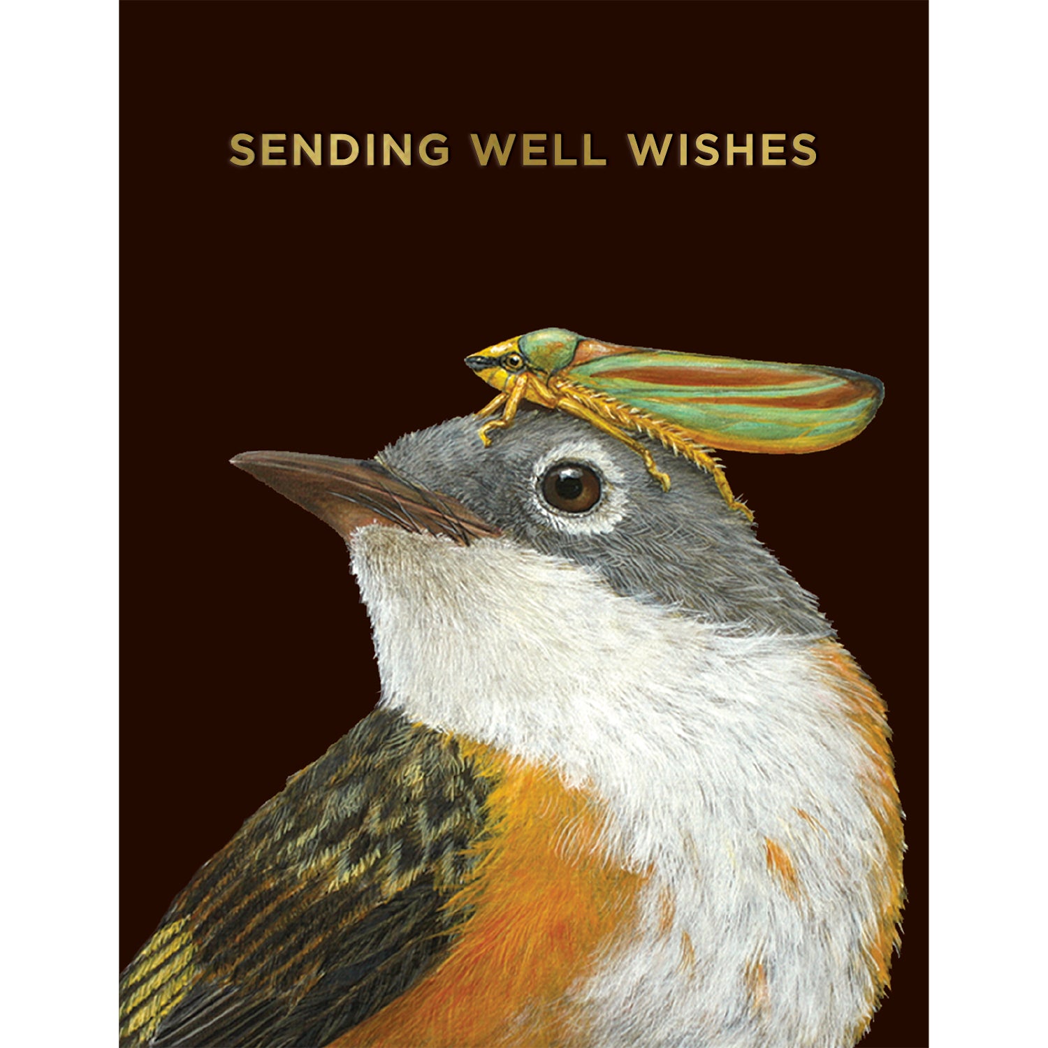 A card from Hester & Cook with art by Vicki Sawyer features the profile of a warbler bird with golden, grey, and white plumage with a gold and, brown, and green cricket atop its head on a rich brown background. The message "SENDING WELL WISHES" is printed above its head in shiny gold foil letters.