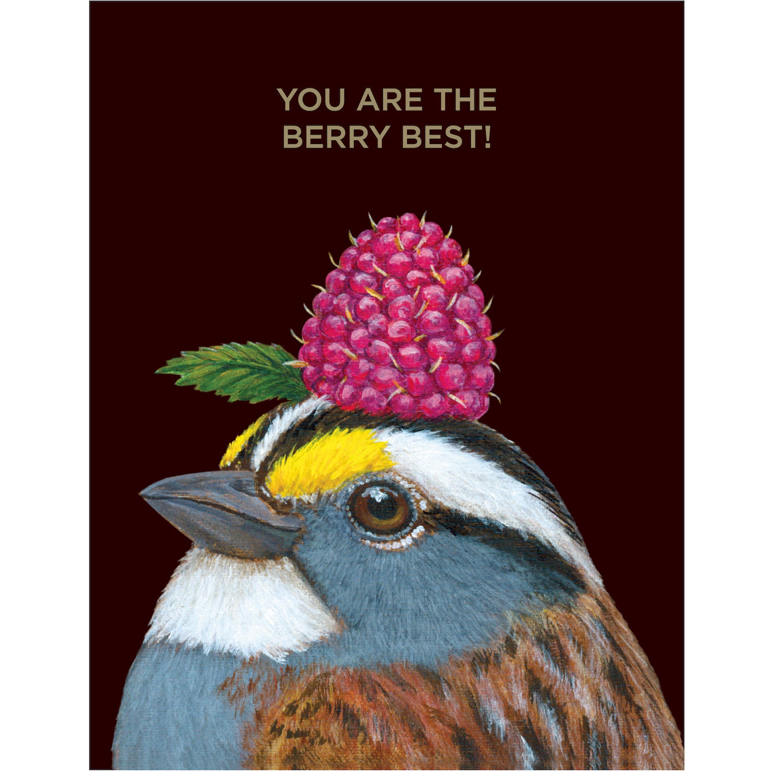 A dark brown greeting card featuring a charming illustrated portrait of a songbird wearing a bright magenta raspberry as a hat, with the words "YOU ARE THE BERRY BEST!" printed in gold foil.