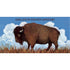 A whimsical illustration of a majestic brown bison, facing left, standing on yellow-tan grass against a blue sky with fluffy white clouds.