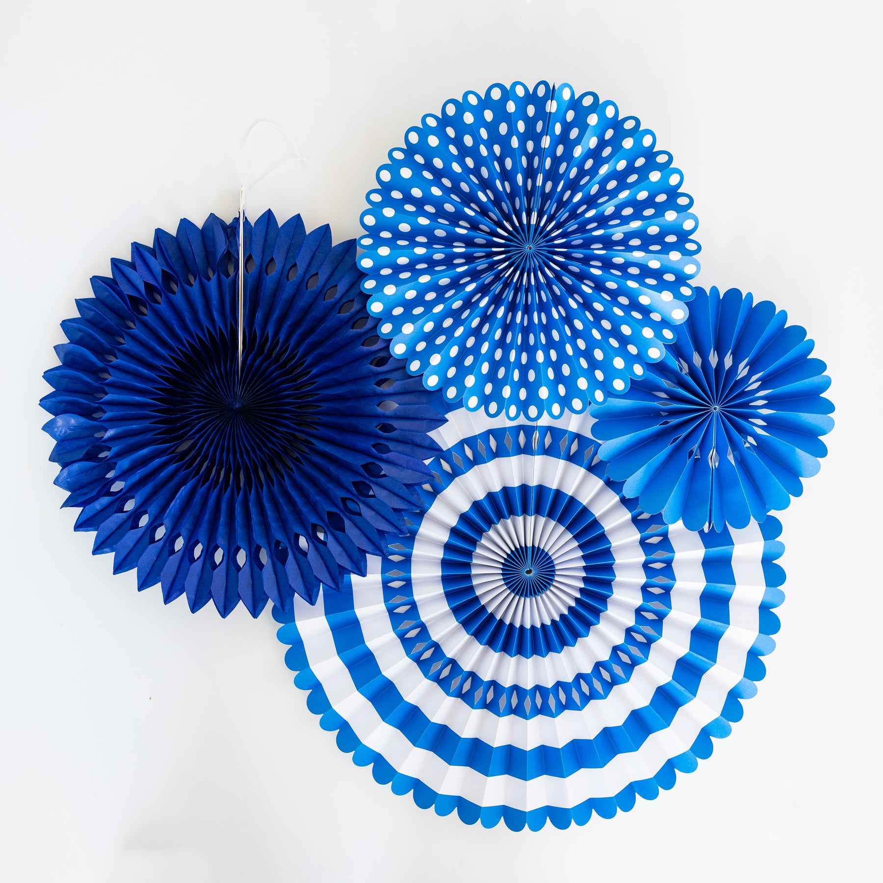 Blue & White Party Fan Set
