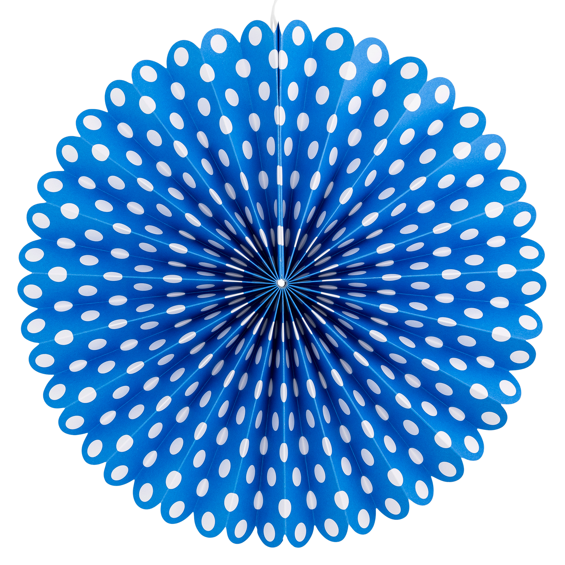 Blue & White Party Fan Set