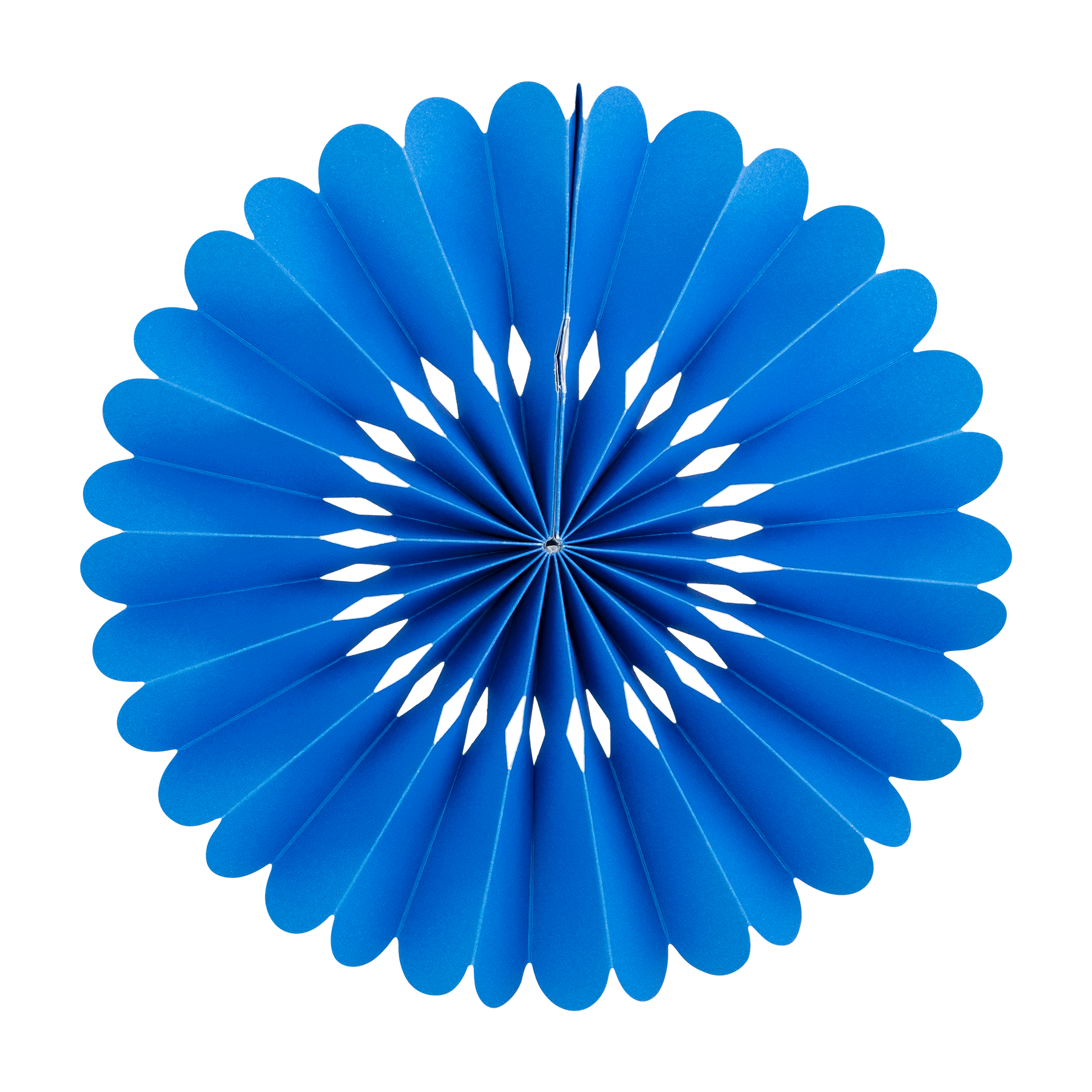 Blue & White Party Fan Set