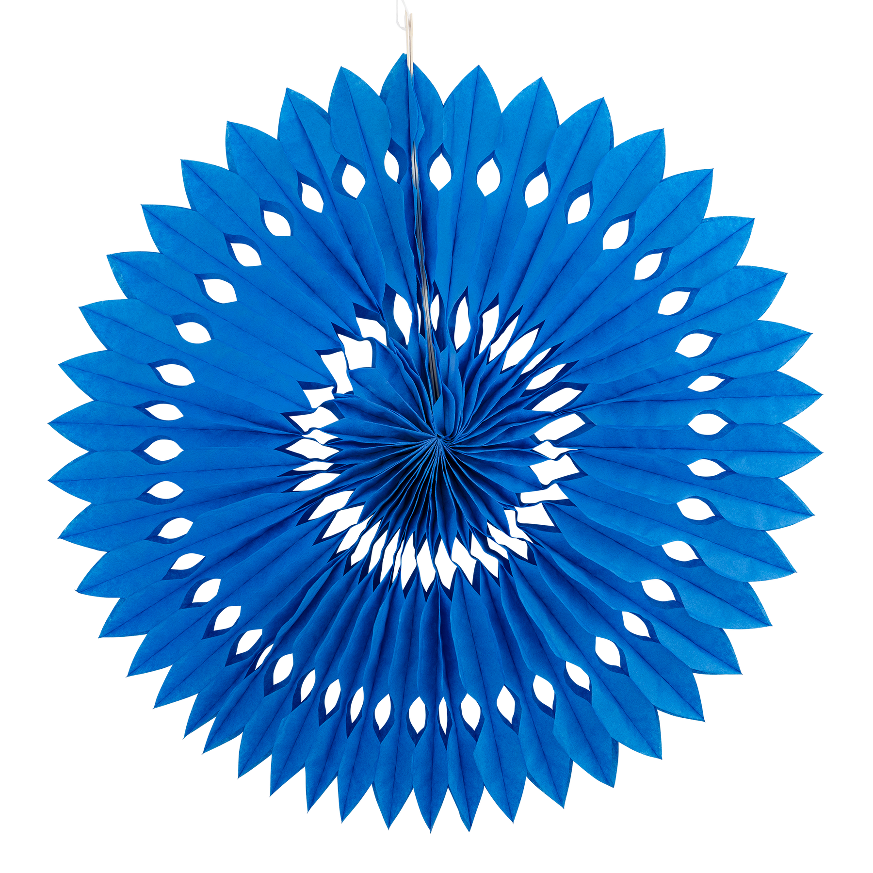 Blue & White Party Fan Set