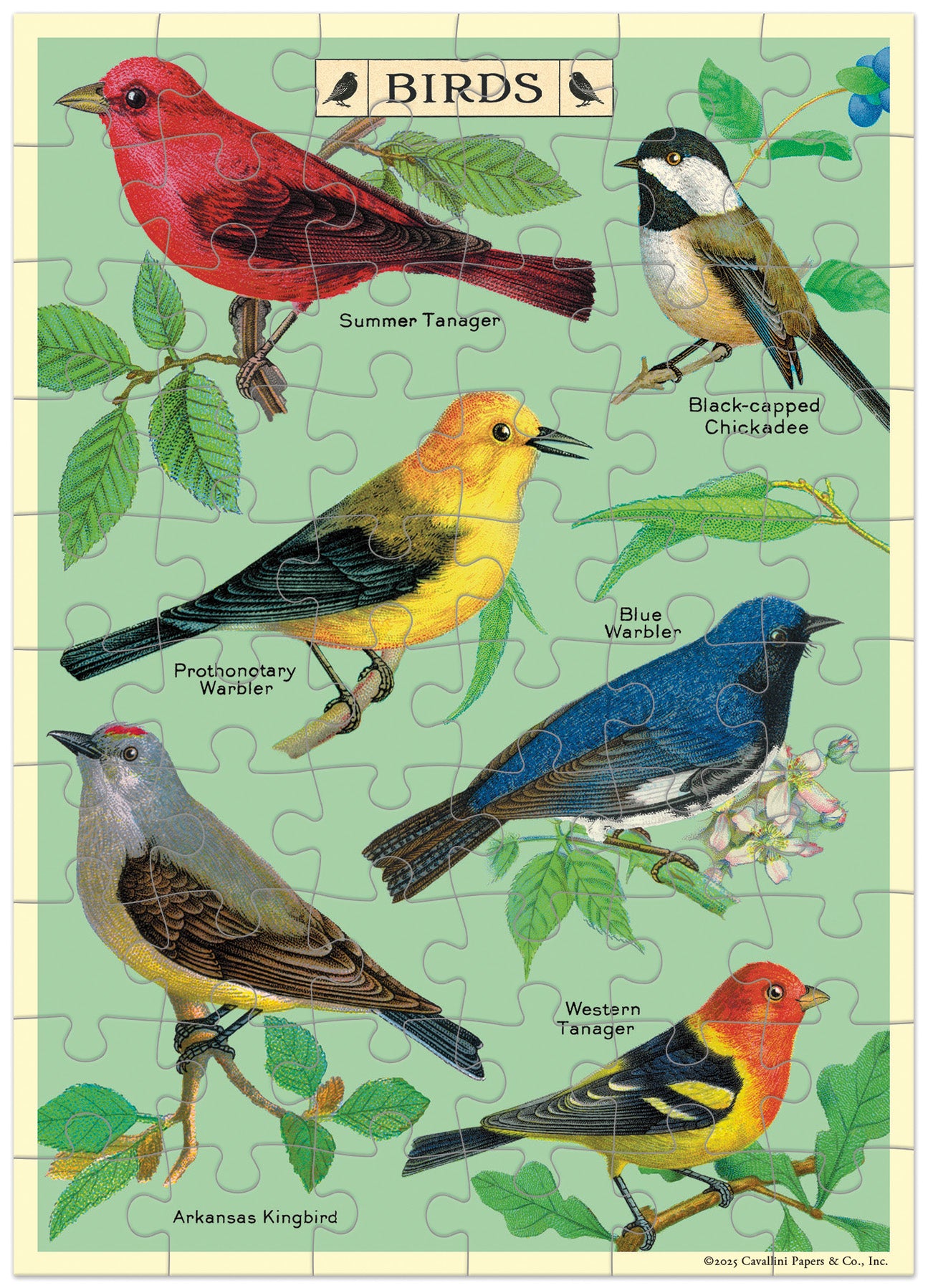Bird-themed puzzle with illustrations of various birds on a green background.