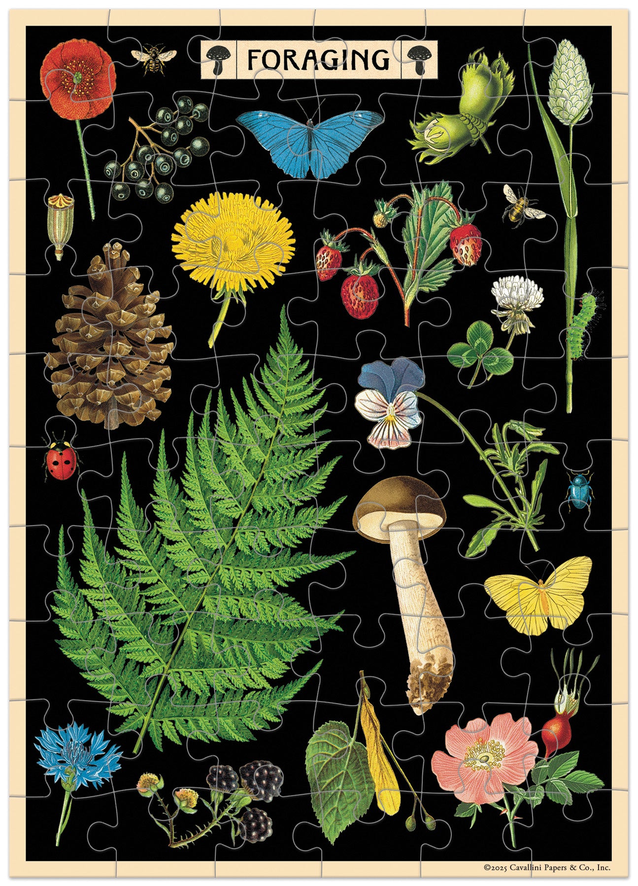 Jigsaw puzzle with illustrations of nature elements on a black background.