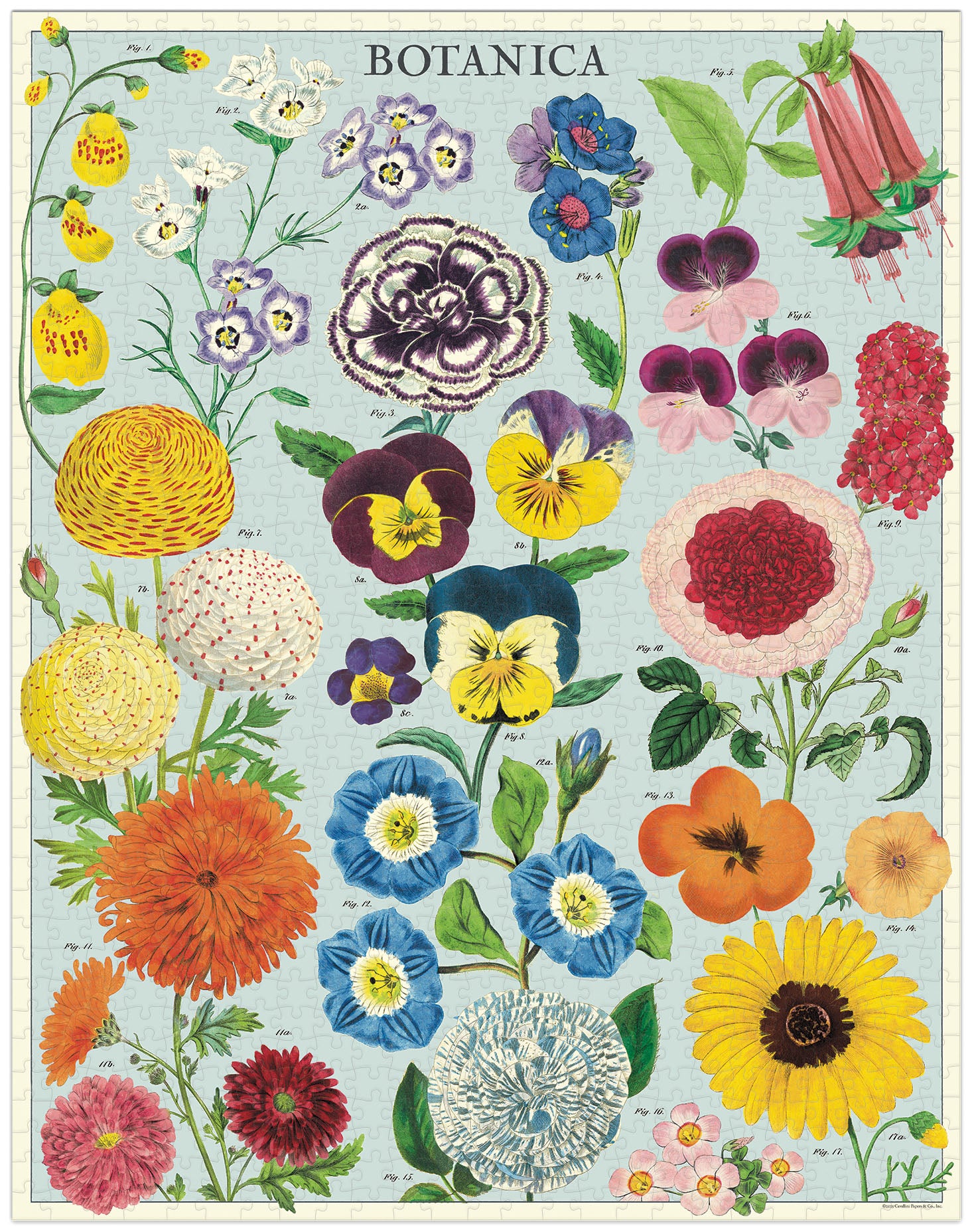 Illustration of various flowers with a &