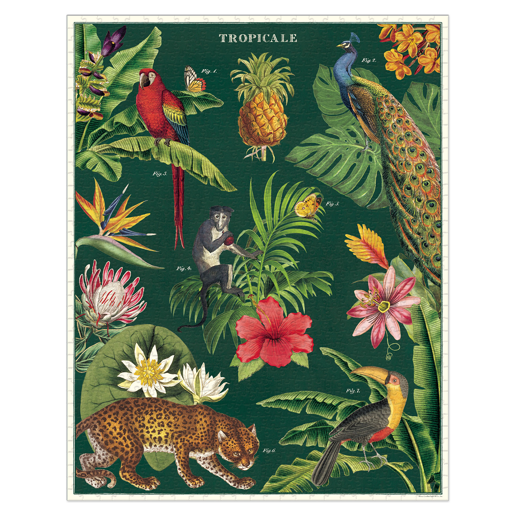 A vintage Tropicale Puzzle box with Cavallini Papers &amp; Co archives tropical bird and flower motifs.