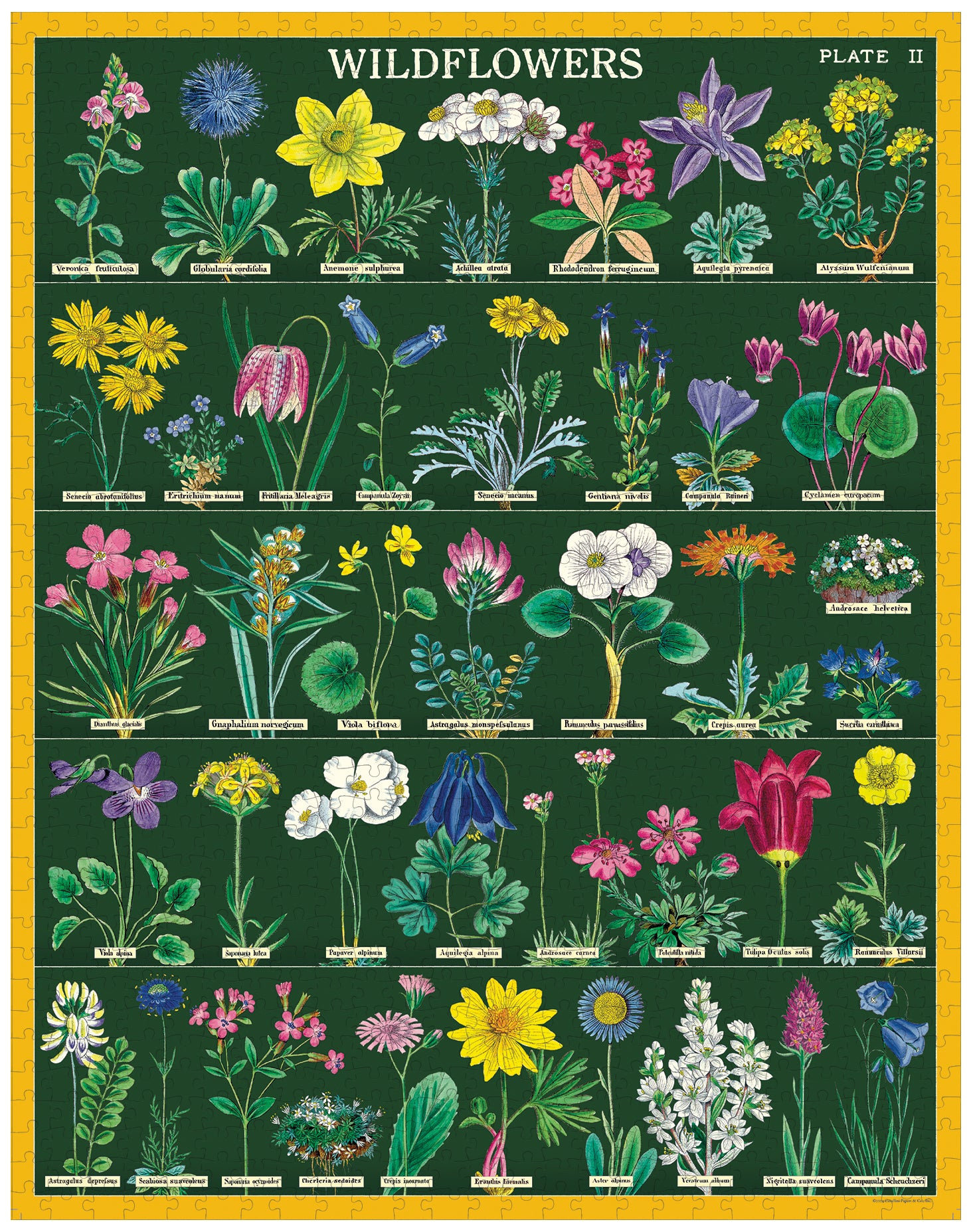 Wildflowers 2 Puzzle assembled showing rows of various flowers that are labeled and a marigold border around the puzzle.