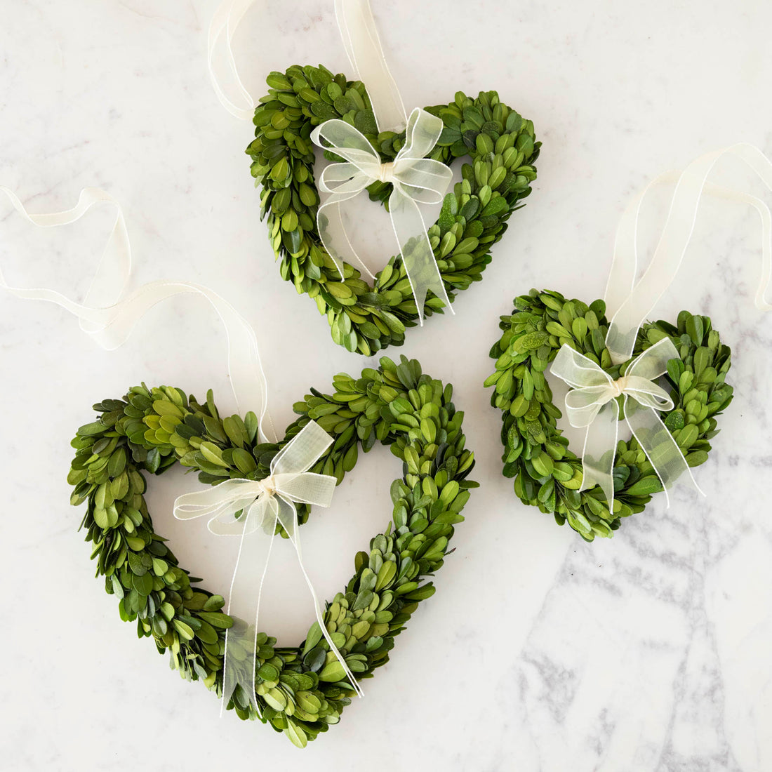 Three heart-shaped preserved Boxwood Wreath Hearts with Ribbons by Mills Floral Company on a white background.