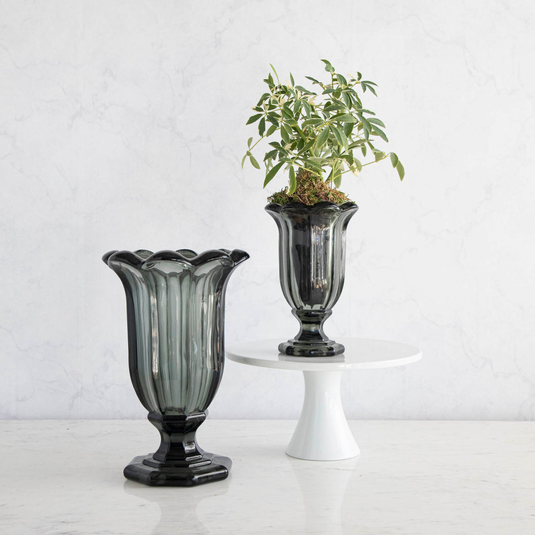 An elegant black Smoke Glass Fluted Vase with a plant beside a decorative empty floral vase on a white pedestal against a marble background. (Brand Name: Shi Shi)