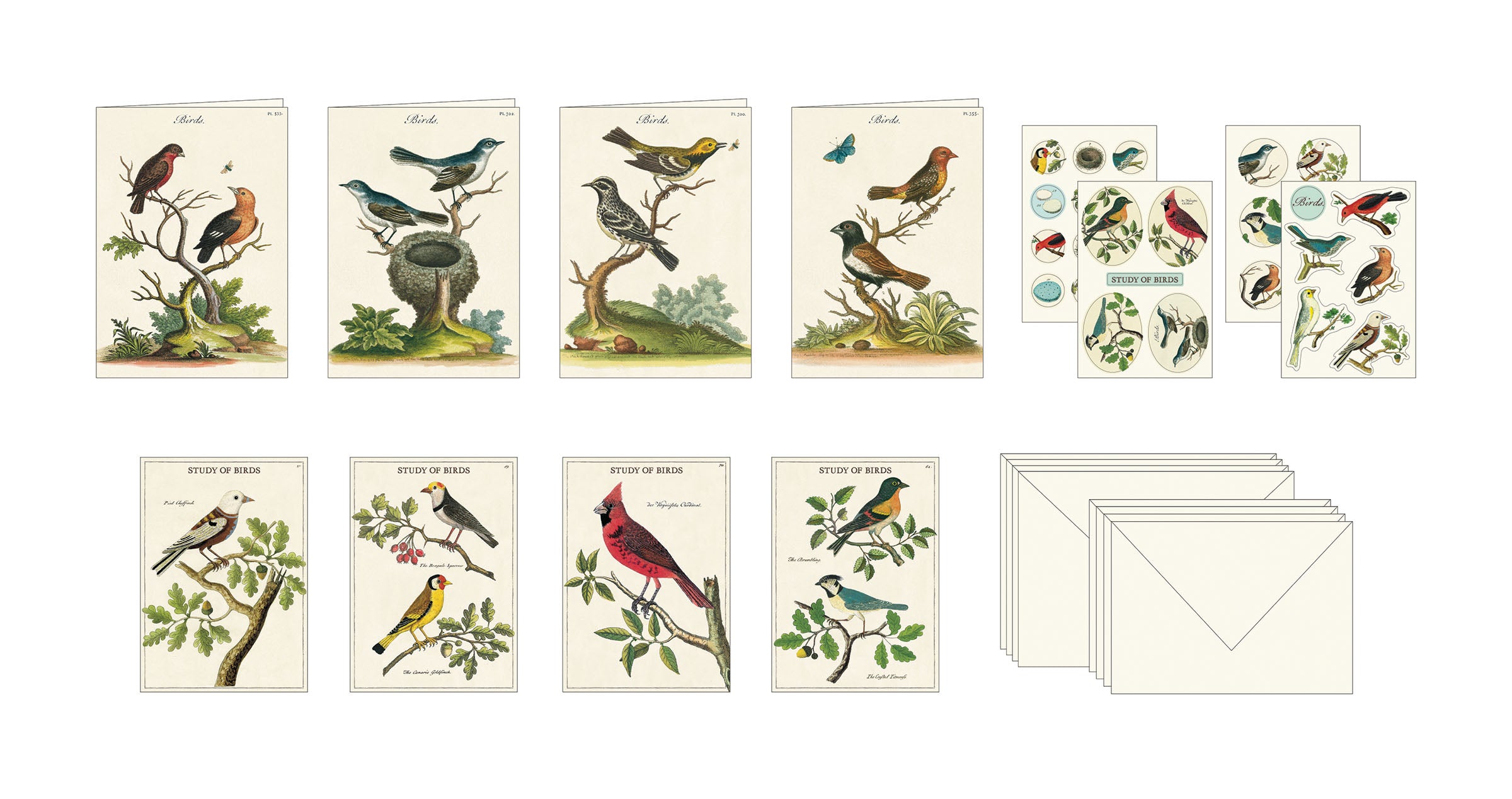 A Birds Stationery Set featuring illustrations of various birds on the packaging from Cavallini Papers & Co.