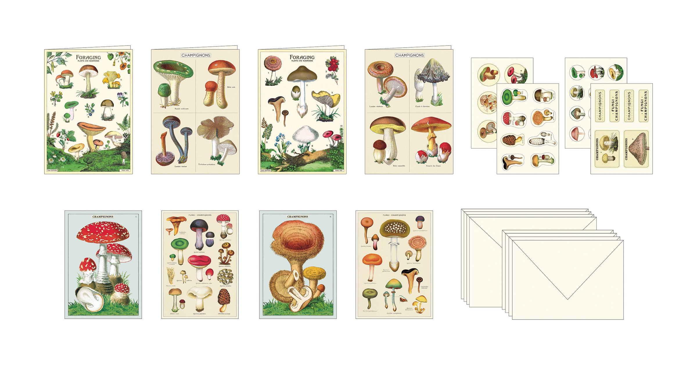 Cavallini Papers & Co Mushroom Stationery Set featuring various types of mushrooms.