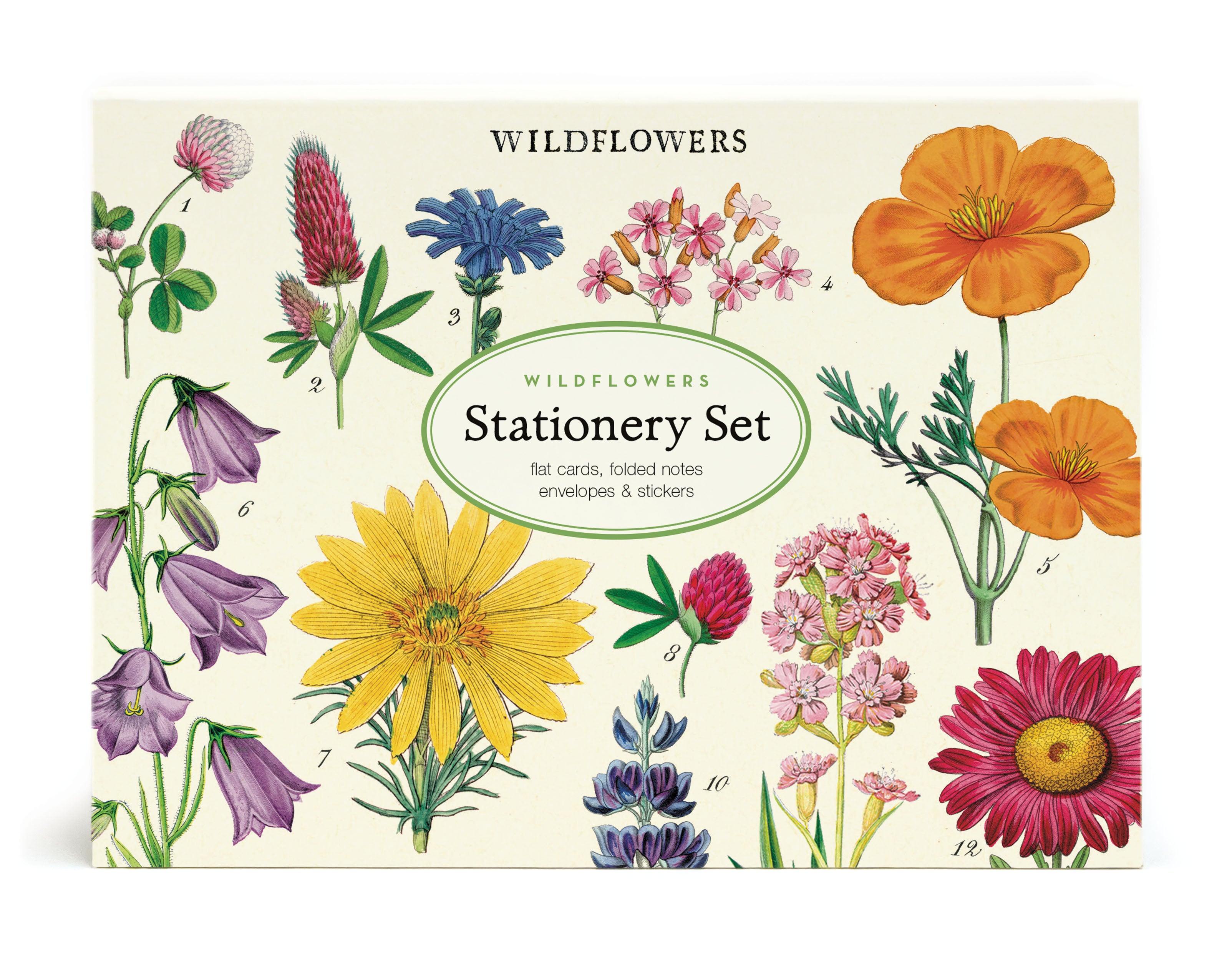 A Cavallini Papers & Co Wildflowers Stationery Set featuring correspondence cards with illustrations of various colorful wildflowers.