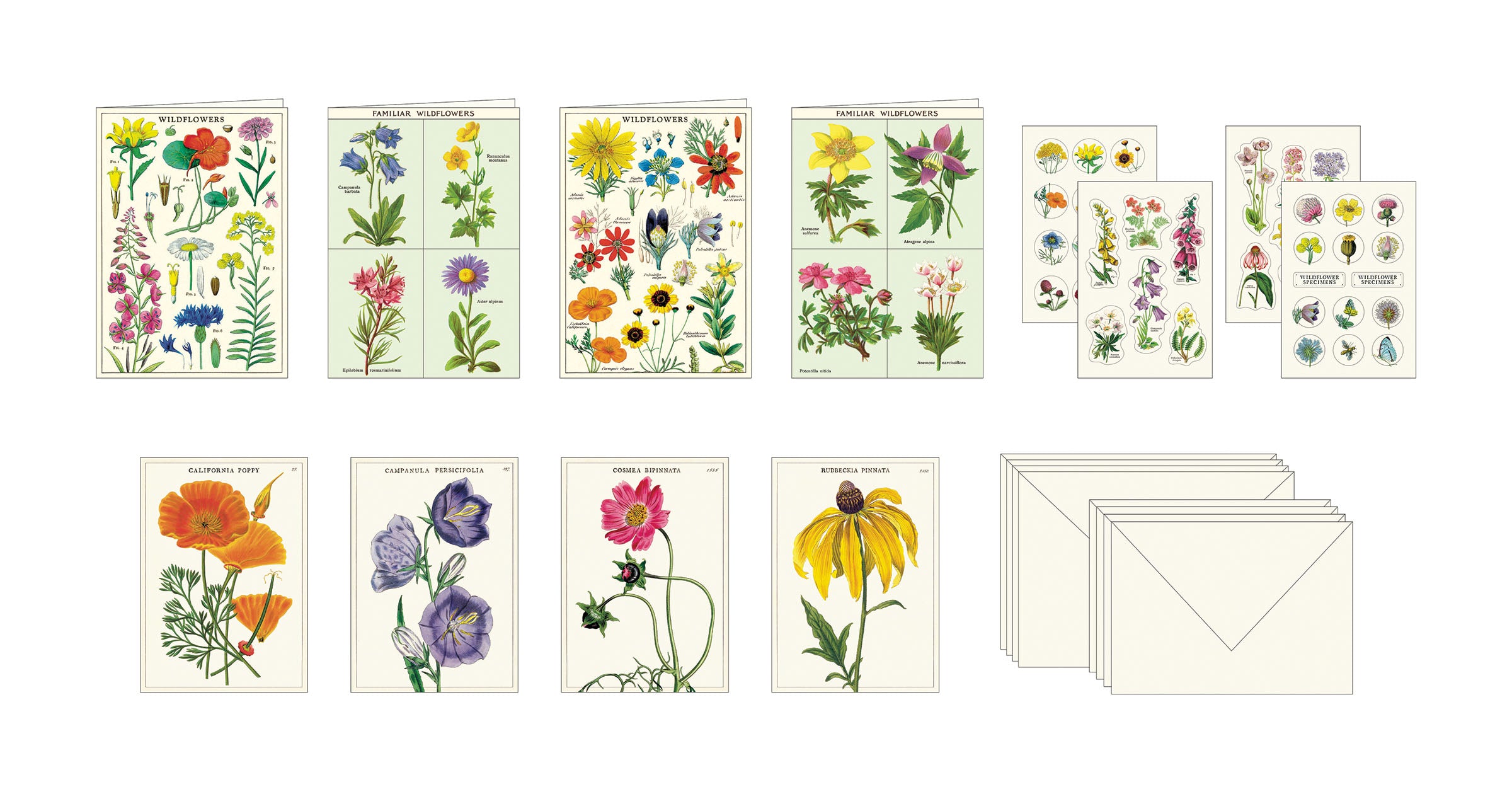 A Cavallini Papers & Co Wildflowers Stationery Set featuring correspondence cards with illustrations of various colorful wildflowers.