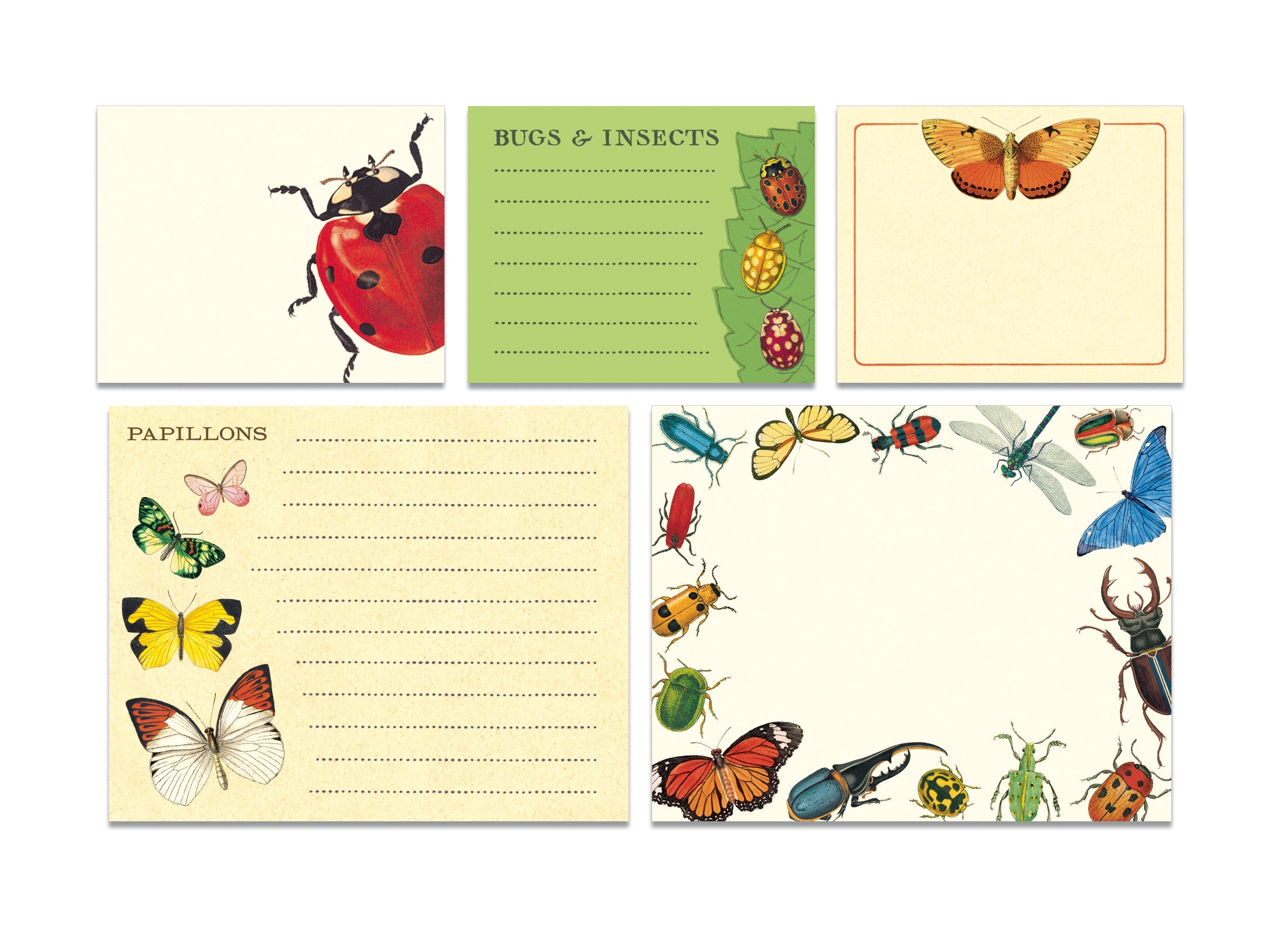 A Cavallini Papers & Co tin with ladybugs and butterflies on it, filled with Bugs & Insects Sticky Notes.