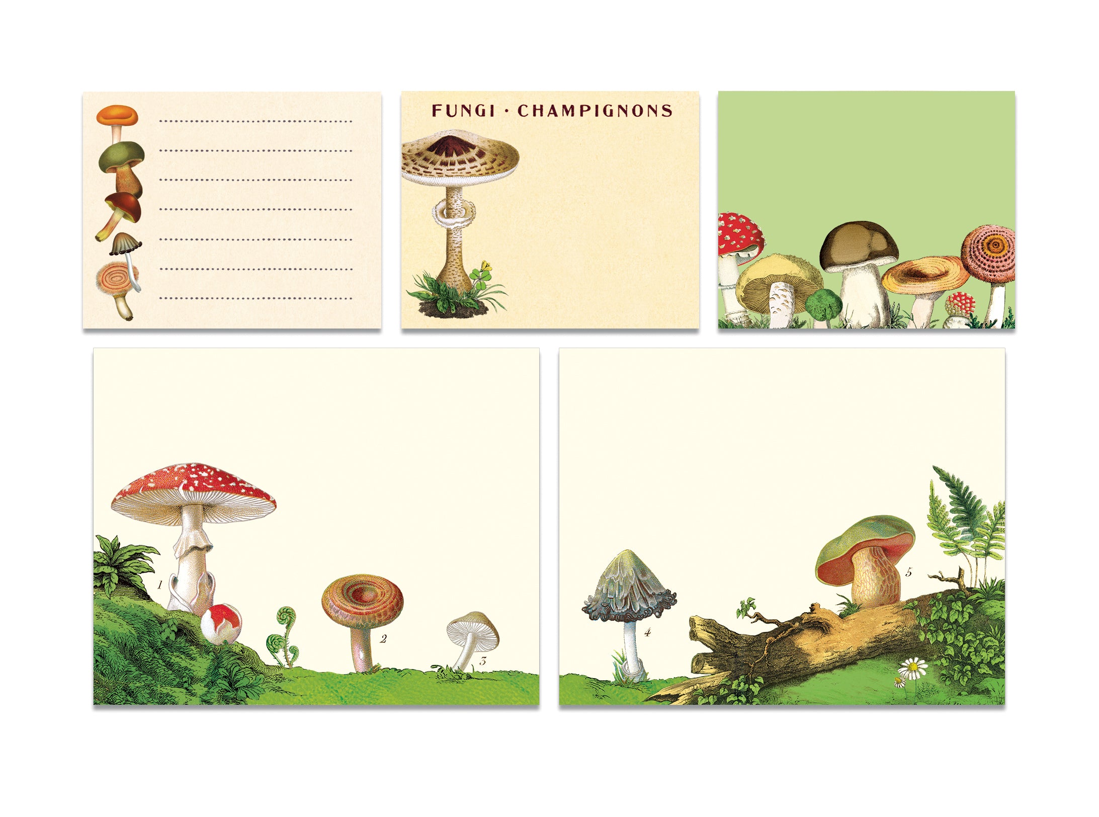 A tin of Cavallini Papers & Co Mushroom Sticky Notes with various mushroom illustrations.
