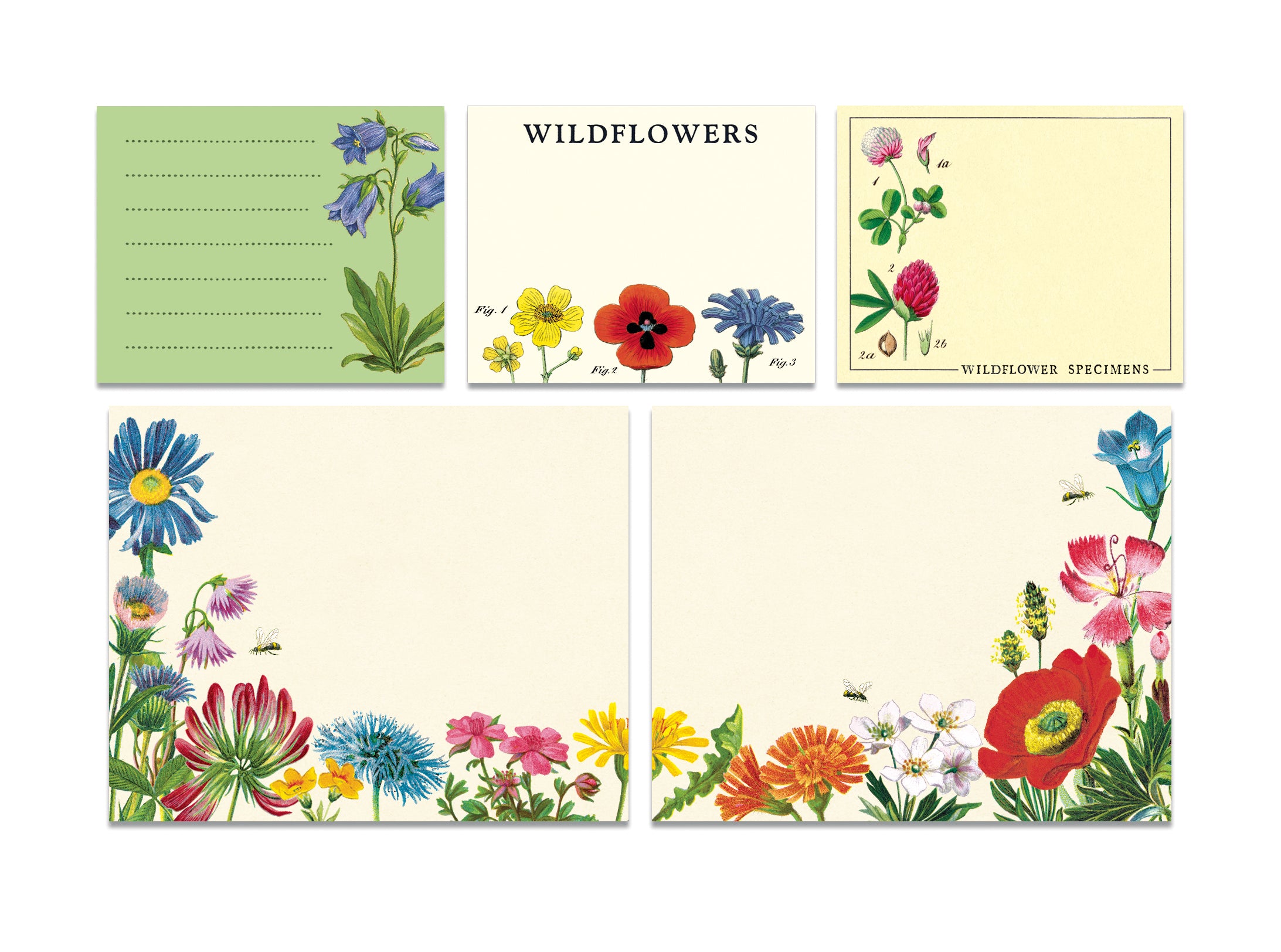 Cavallini Papers & Co Wildflowers Sticky Notes, featuring various wildflower illustrations.