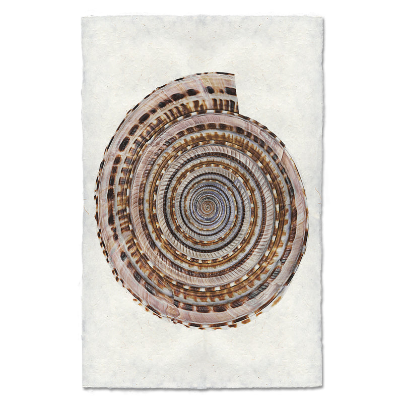 Sundial artwork by Barloga Studios.