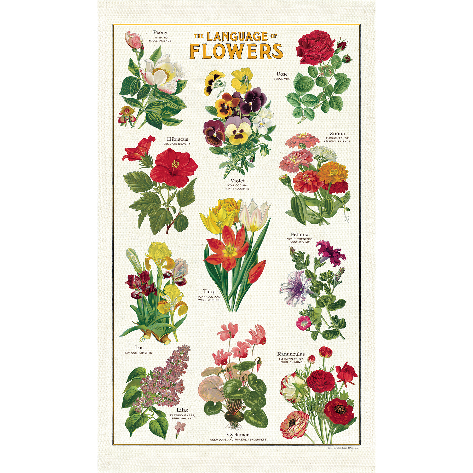 Language of Flowers Tea Towel featuring vintage illustrations of flowers with their flower names besides them.
