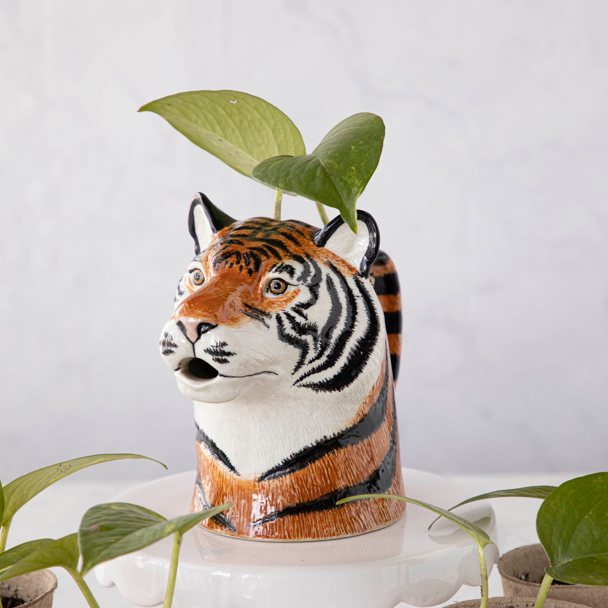 A set of quirky Quail tiger ceramic vases on a wooden table.