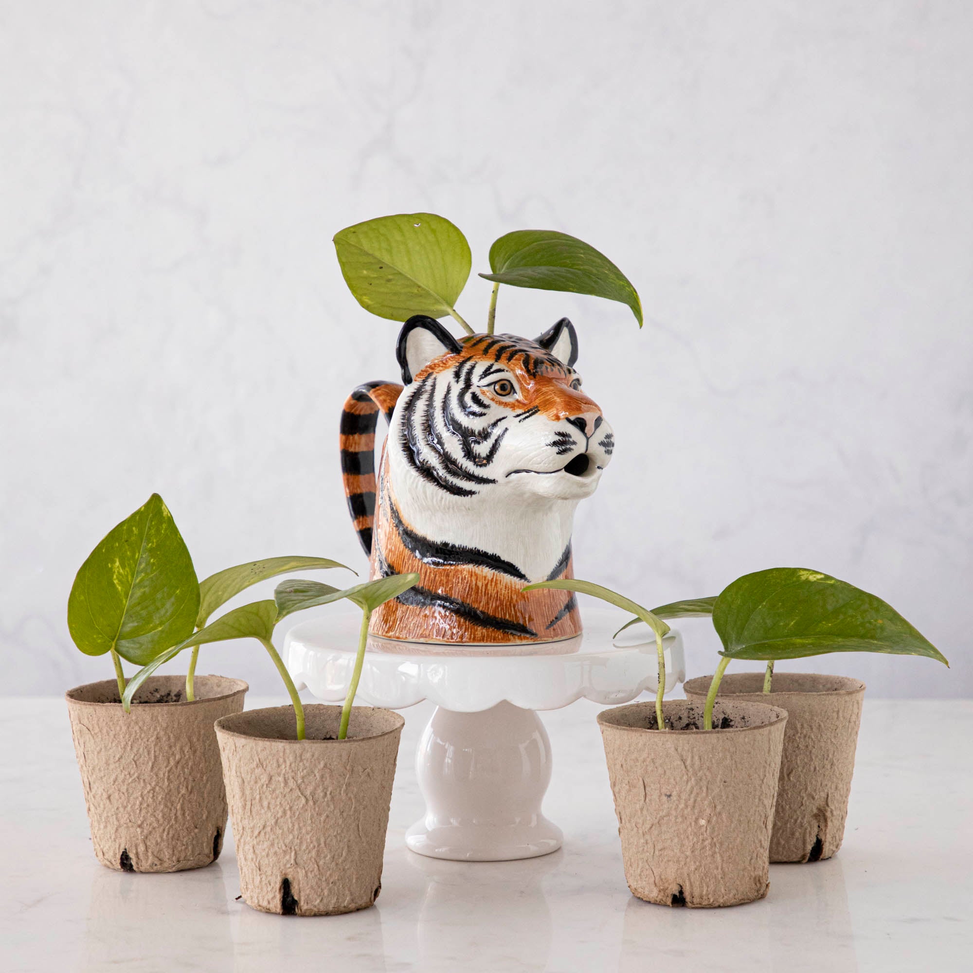 A set of quirky Quail tiger ceramic vases on a wooden table.