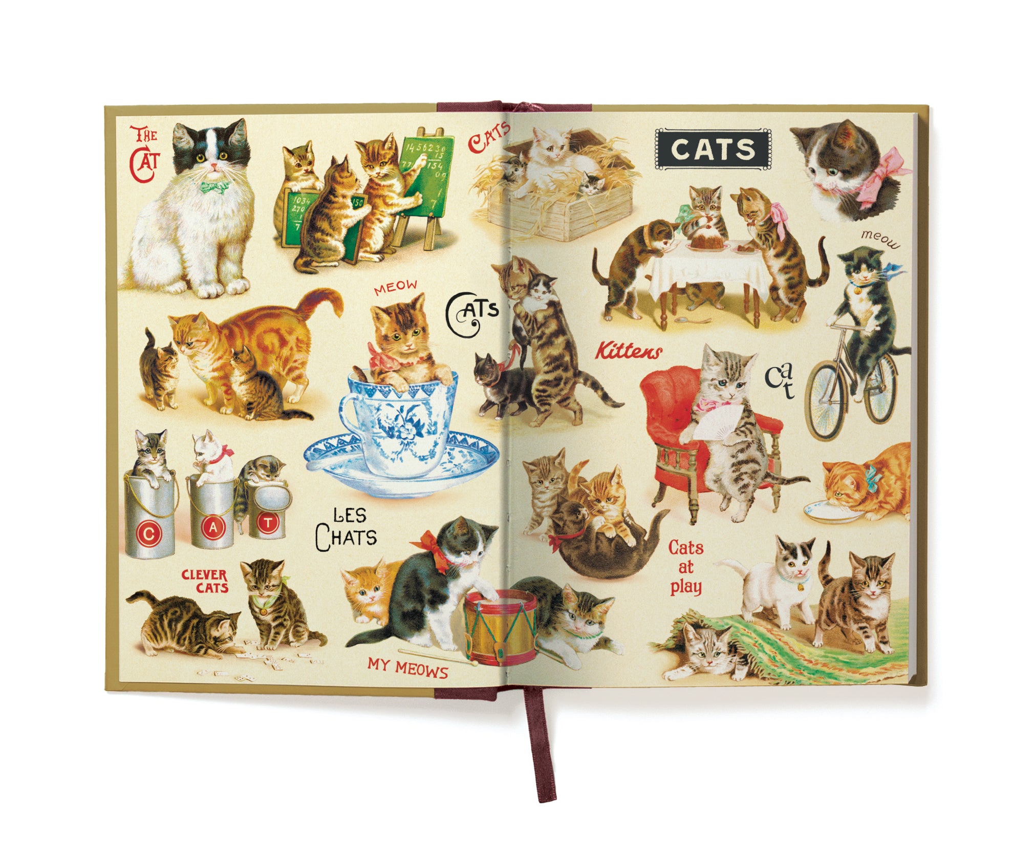 Open book with illustrations of cats on each page.